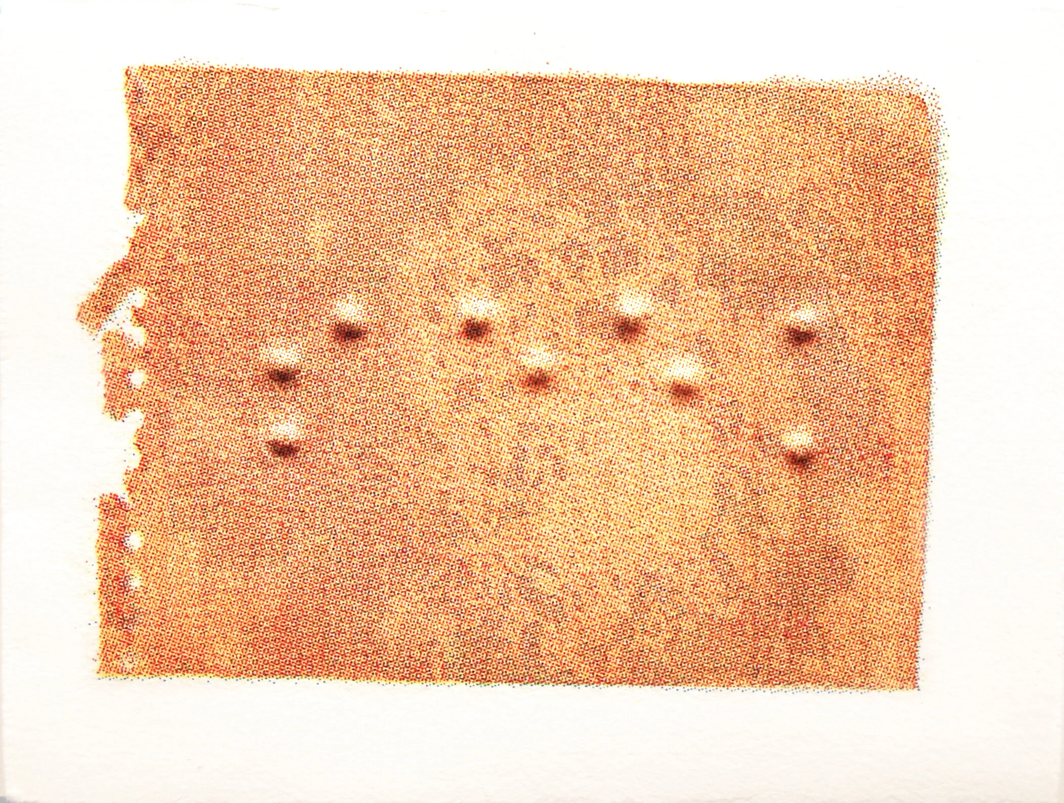 Seek. 2012. Lithograph in glassine envelope. 4” x 5”. 18 remaining. $30.