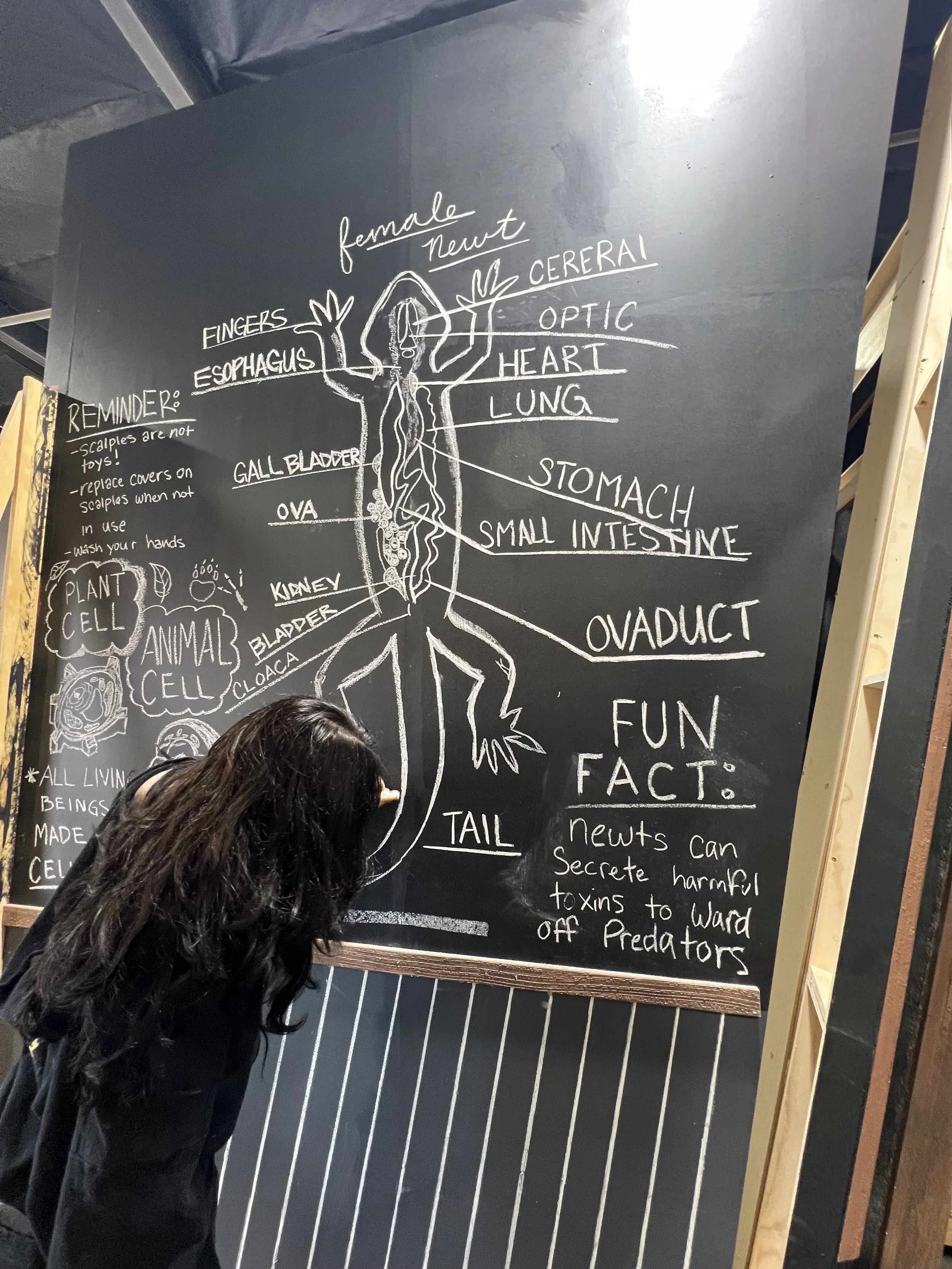 Click to View Matilda 2025