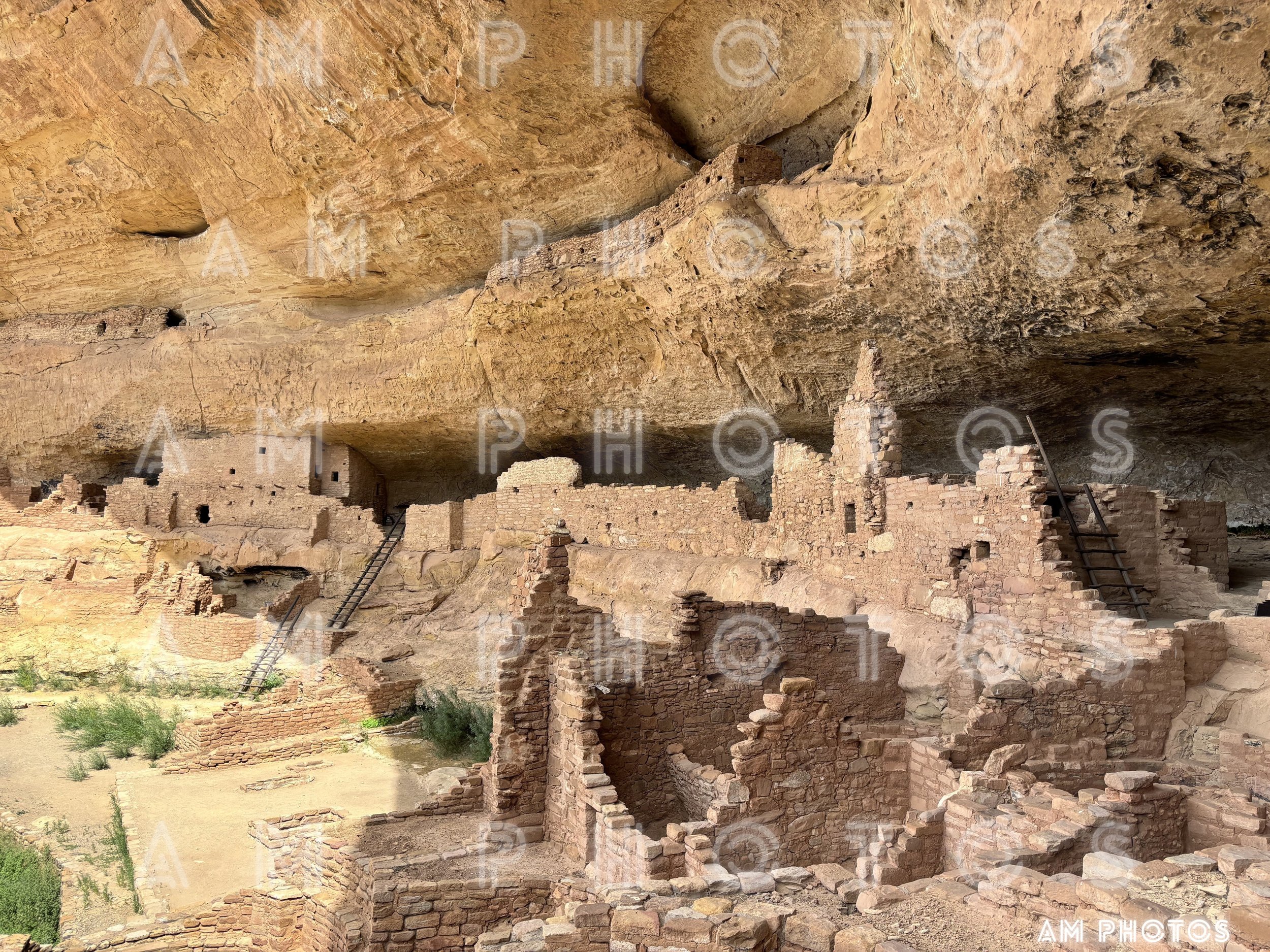 Cliff Dwellings 202