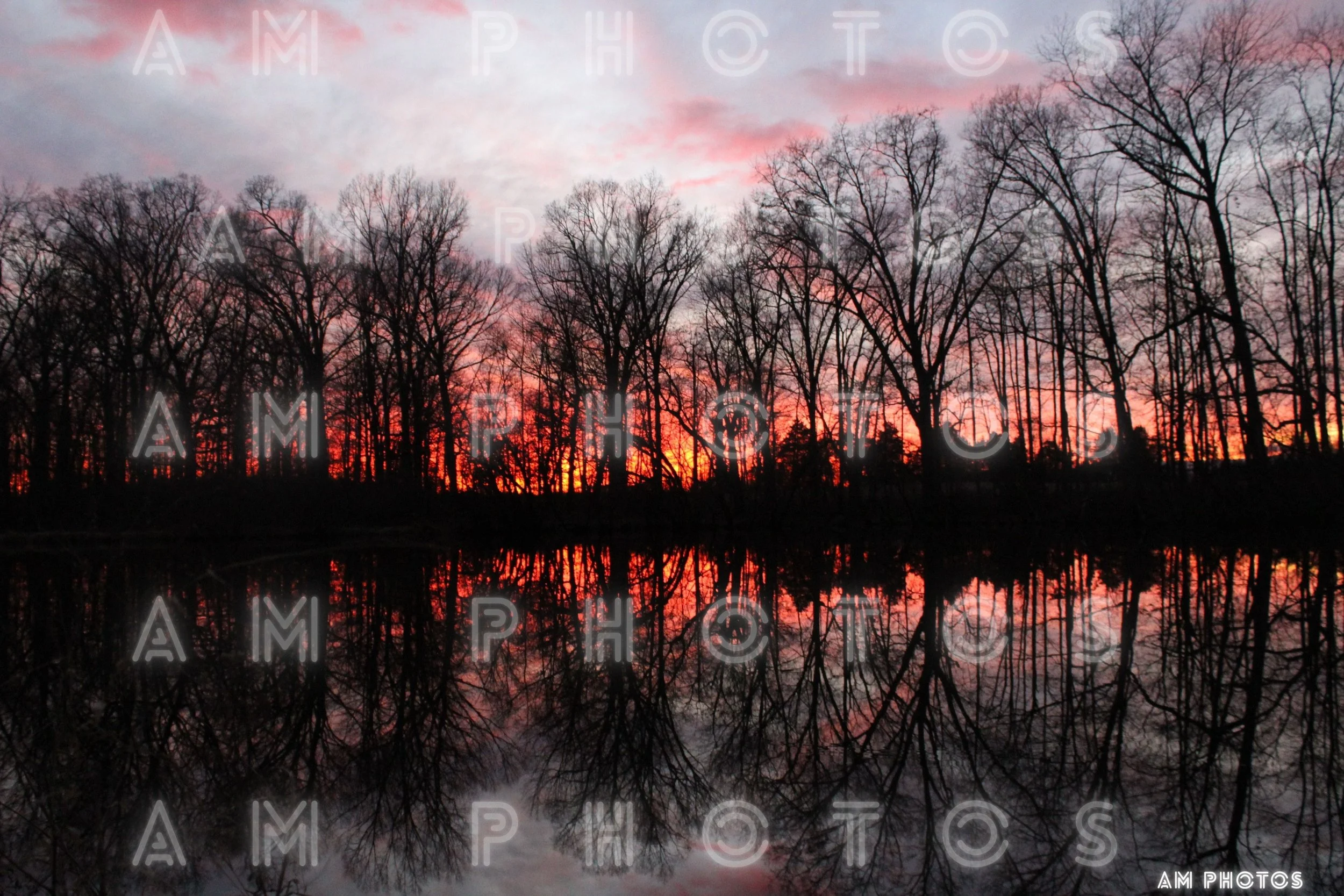 Sunset over the Pond