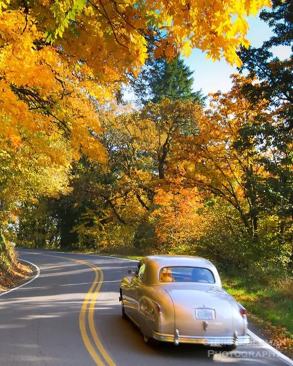 Fall Shipping Update from Executive Auto Transport

With fall now here, I wanted to give you a quick update on current market conditions.

This season is one of the busiest times for vehicle shipping. Rates tend to go up due to high demand. Why? More