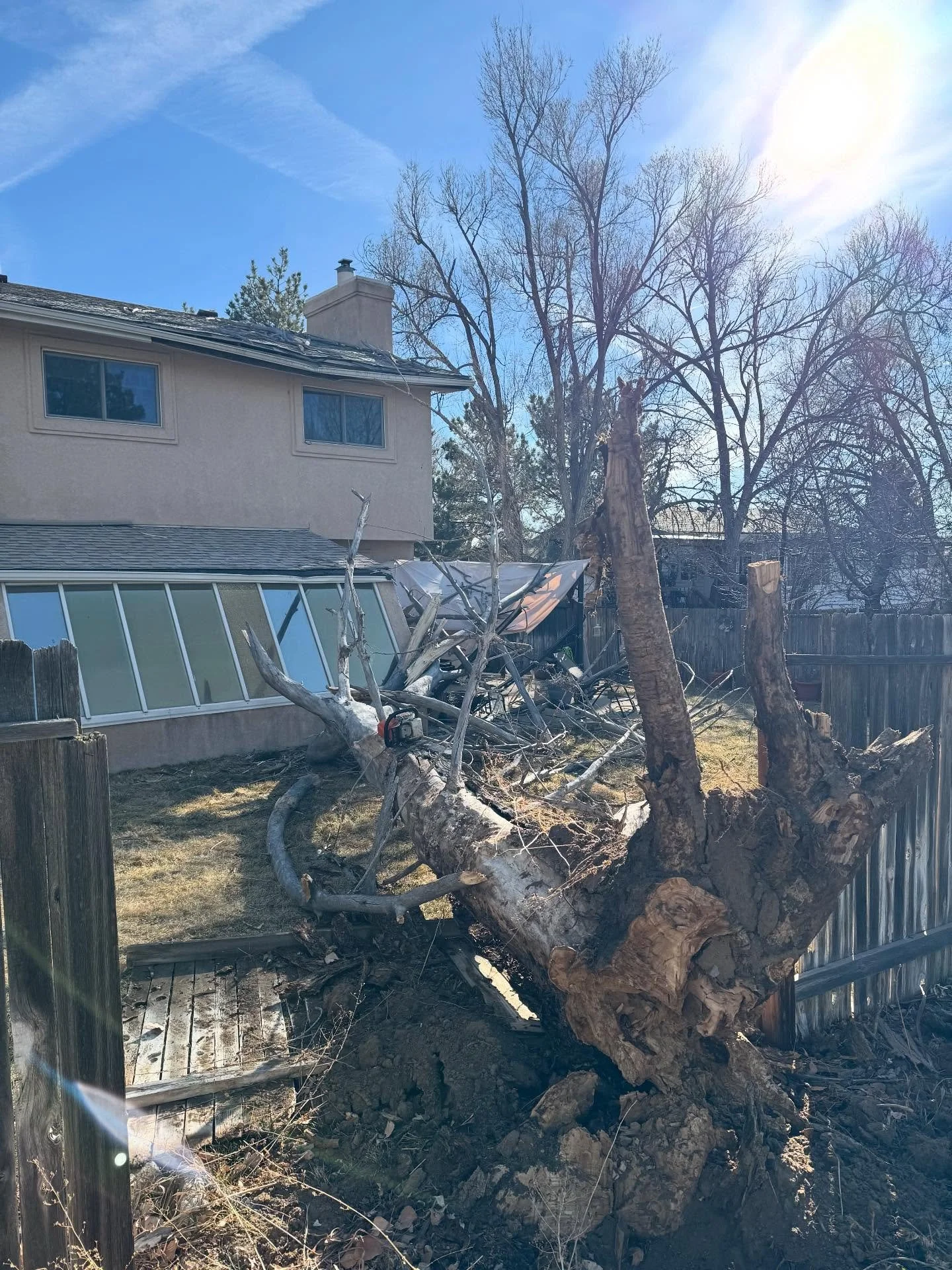 From chaos to clean. 🌪️🪓 Swipe to see how we handled this massive downed tree after the recent wind storm. The yard is officially visible again! #treeremoval #beforeandafter #stormcleanup #downtree