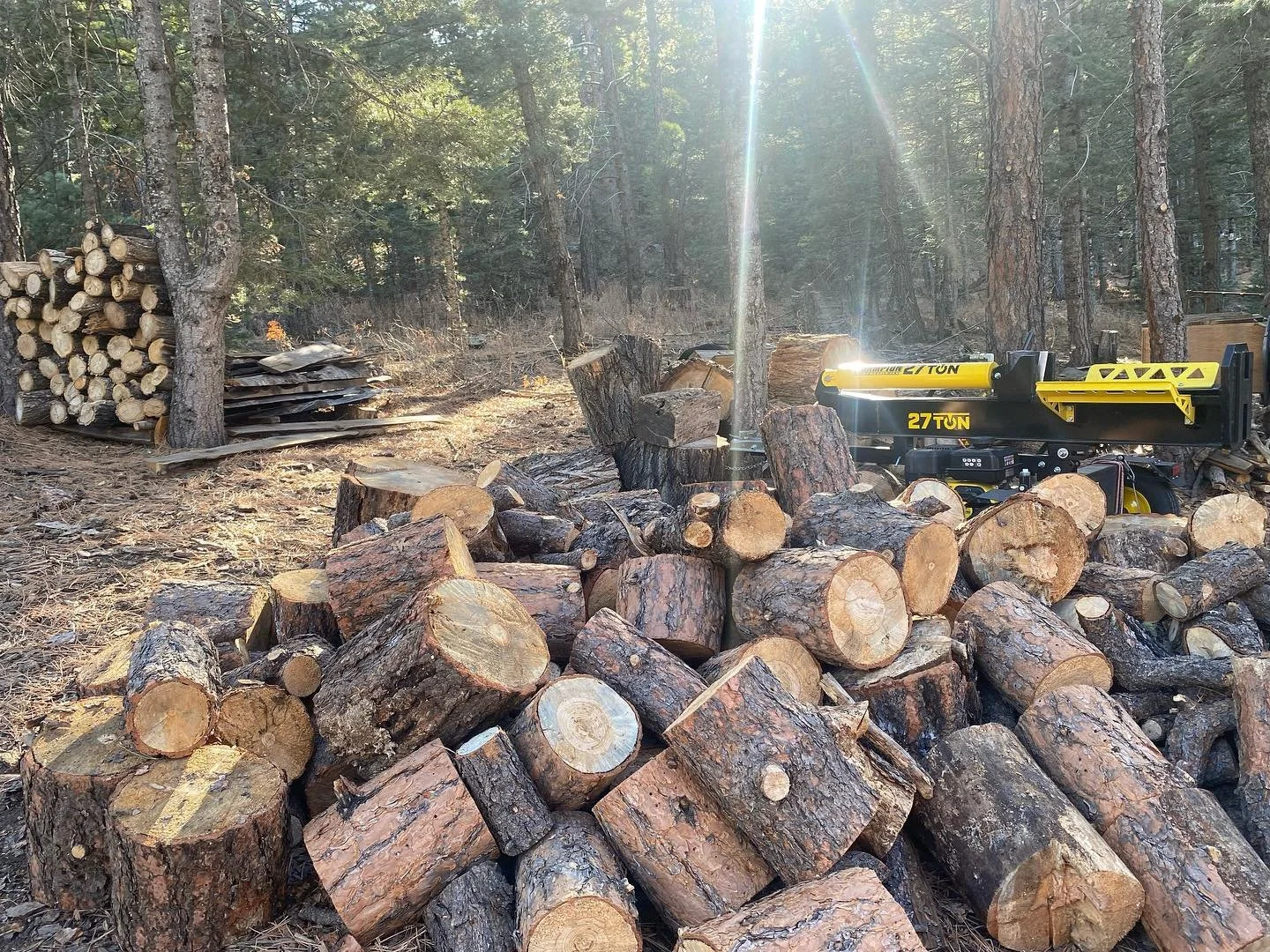 Just waiting to be split! #mitigation #firemitigation #firewood