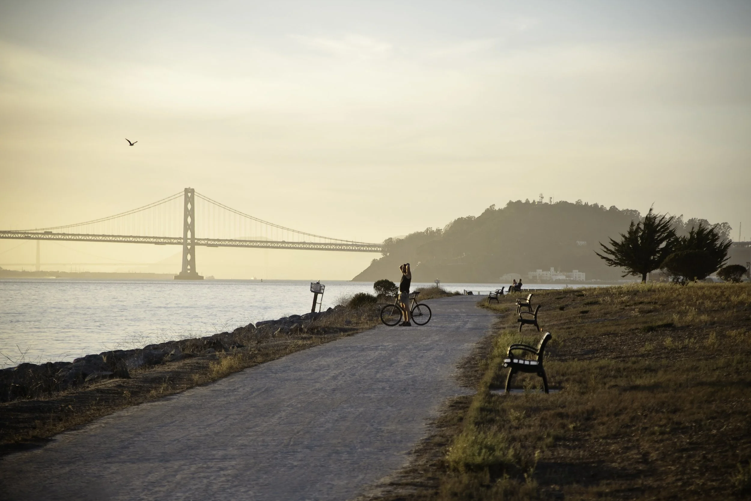 ©Alex Canevaro Personal_012.jpg