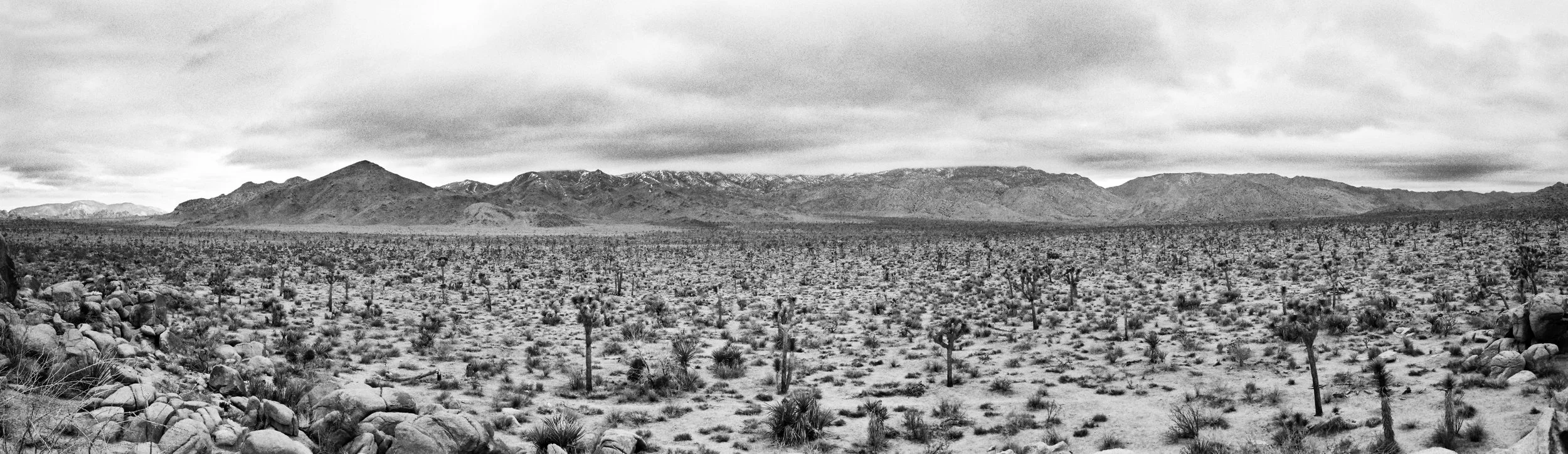 ©Alex Canevaro Personal_039.jpg