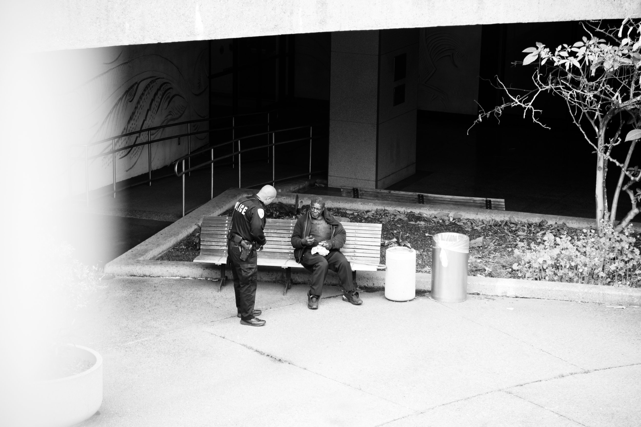 ©Alex Canevaro Personal_037.jpg