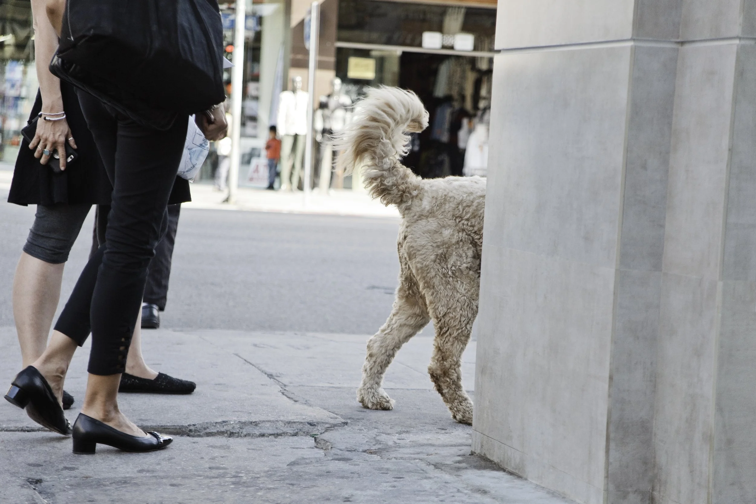 ©Alex Canevaro Personal_033.jpg