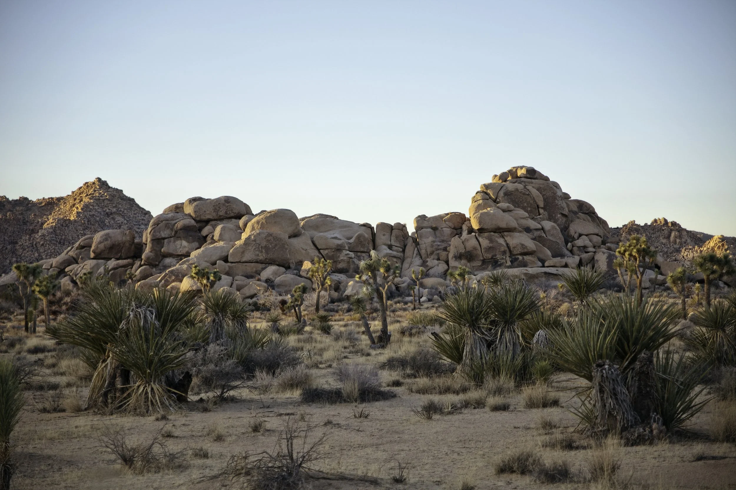 ©Alex Canevaro Personal_013.jpg