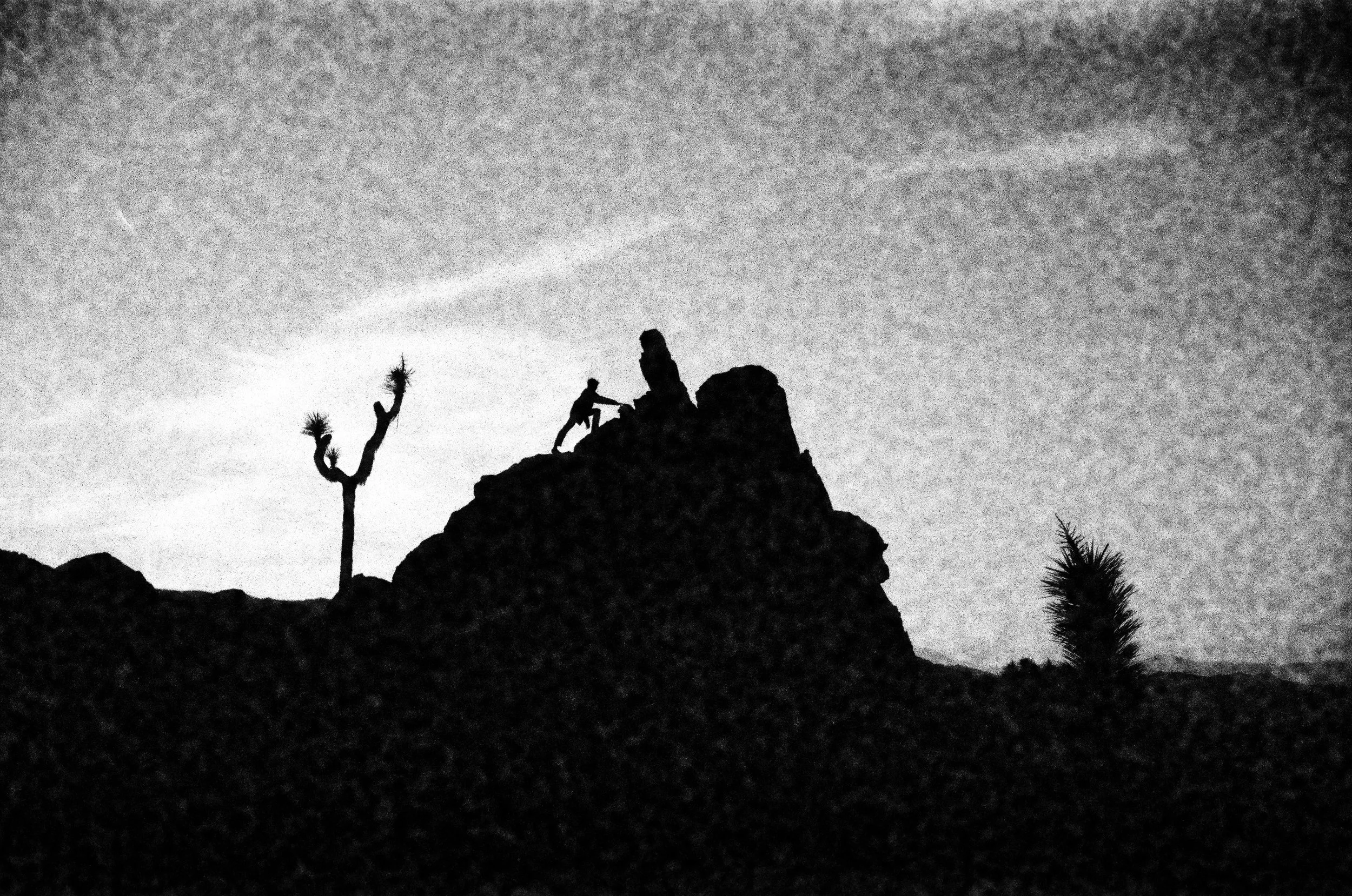 ©Alex Canevaro Personal_038.jpg