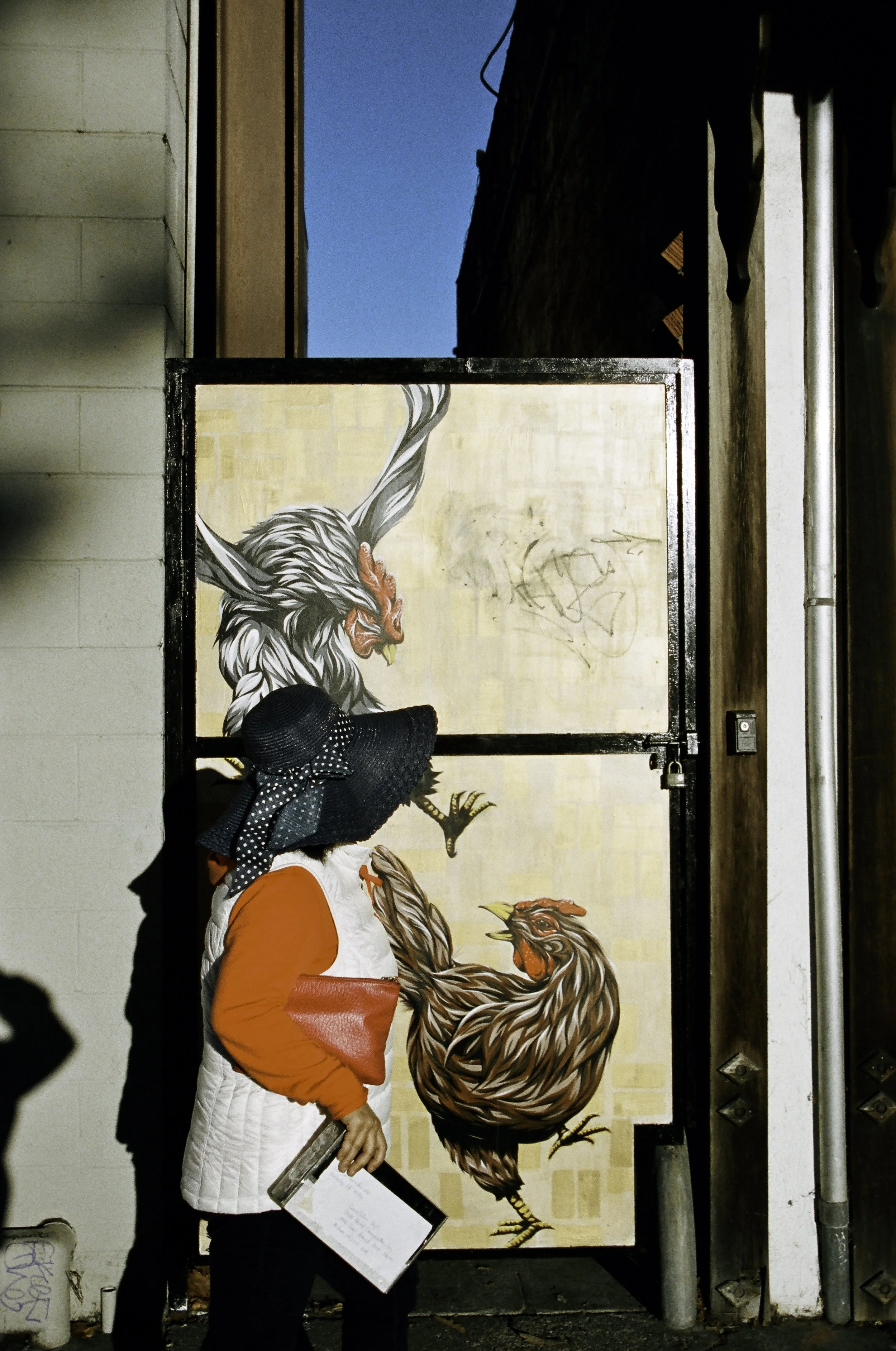 ©Alex Canevaro Personal_016.jpg