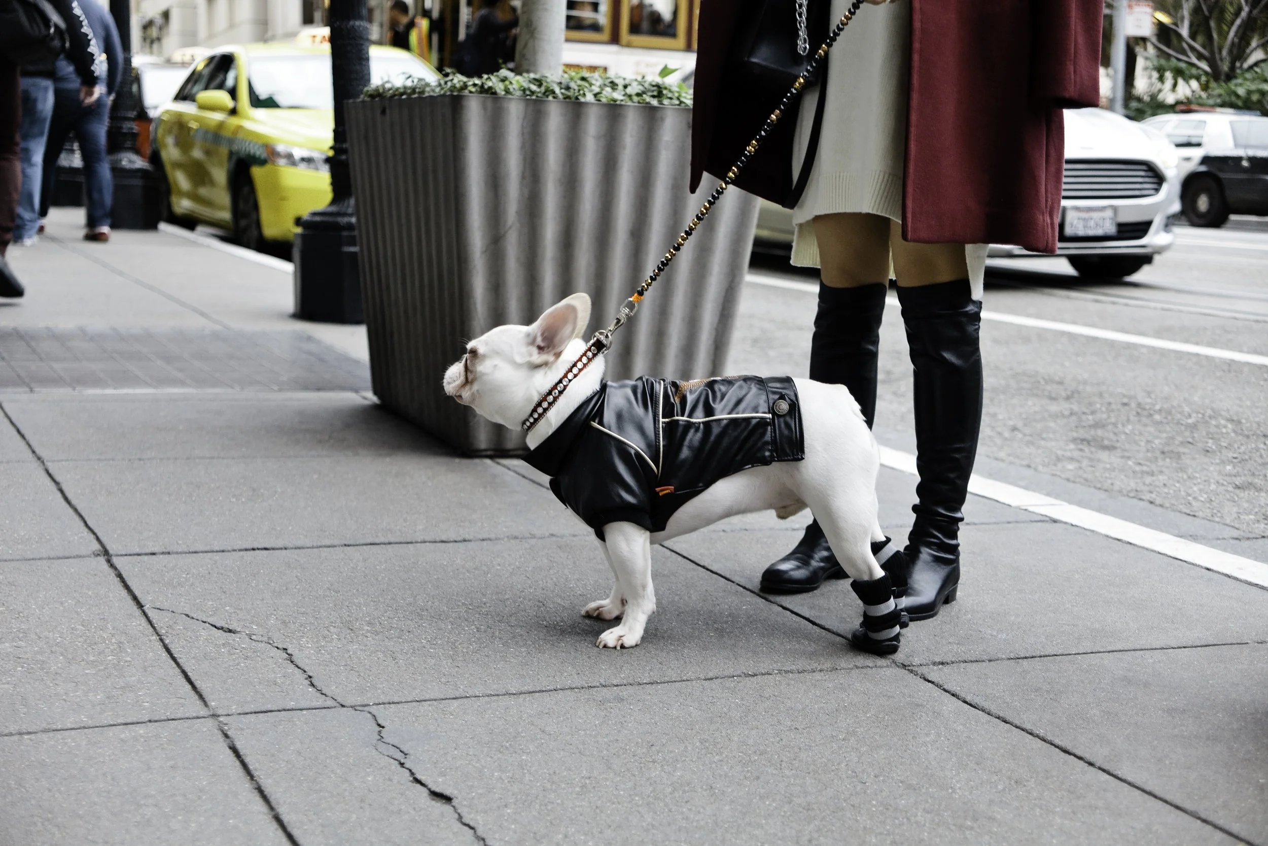 ©Alex Canevaro Personal_034.jpg