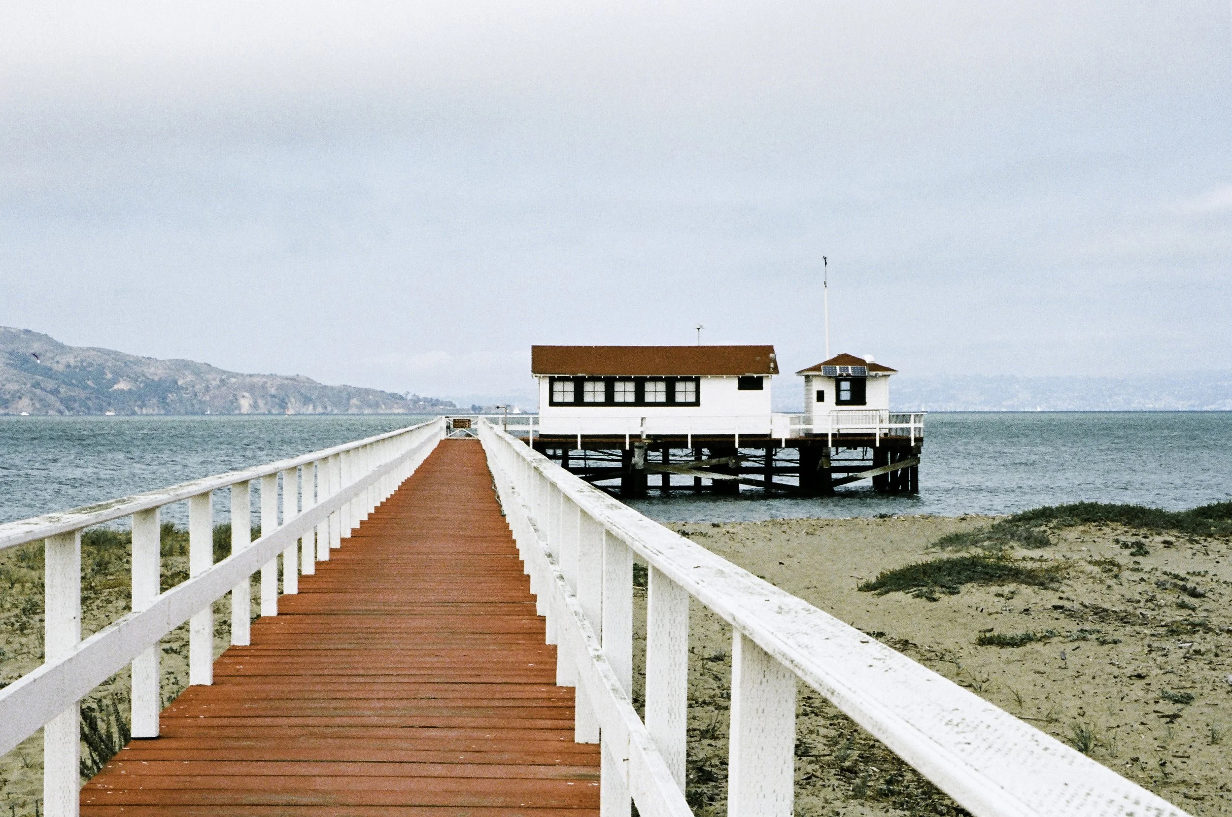 ©Alex Canevaro Personal_028.jpg