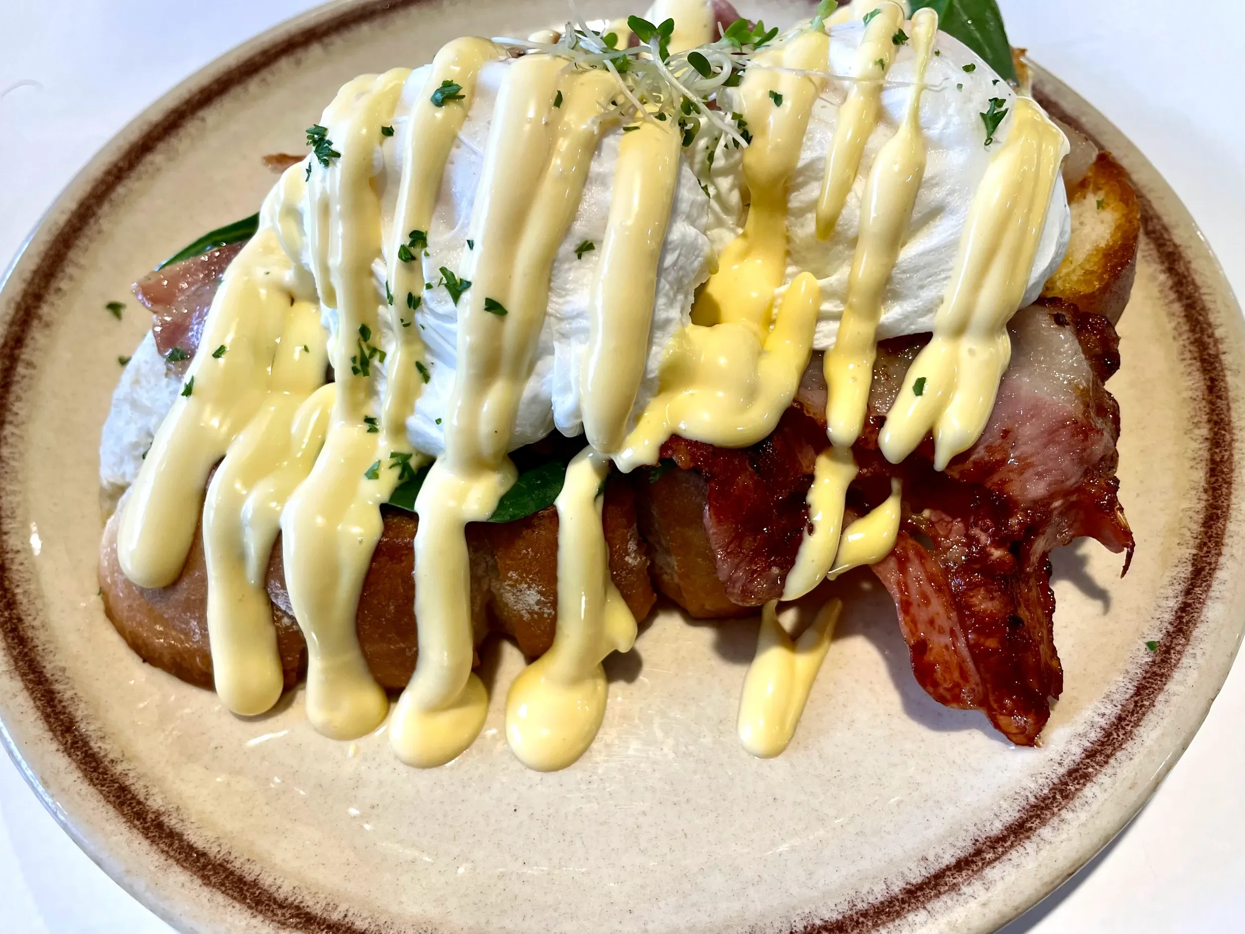 eggs benedict from stone oven bakery & cafe with  two poached eggs, crispy bacon, and drizzled with yellow hollandaise sauce.