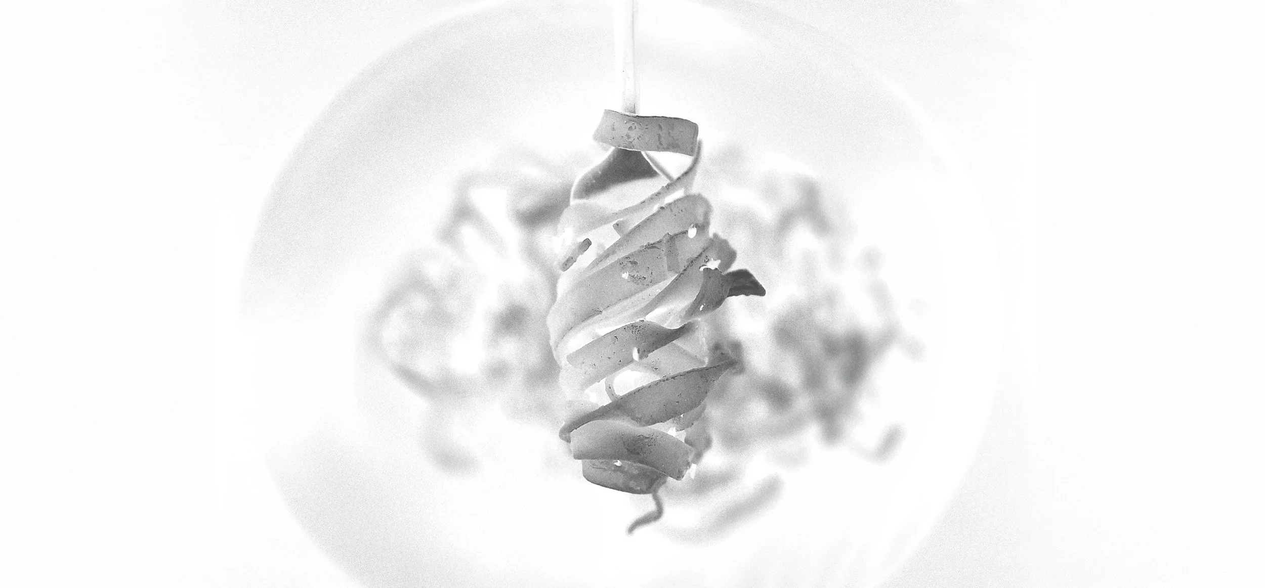 Close-up black and white photo of pasta on a fork.
