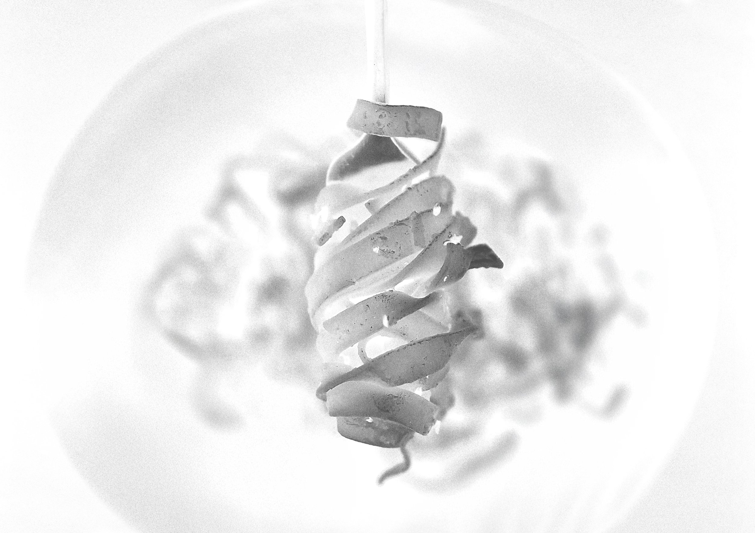 Close-up of a spiral-shaped pasta on a plain white background, shown in grayscale.