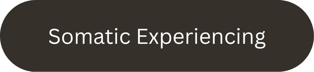 Text reading 'Somatic Expericing' on a dark background.