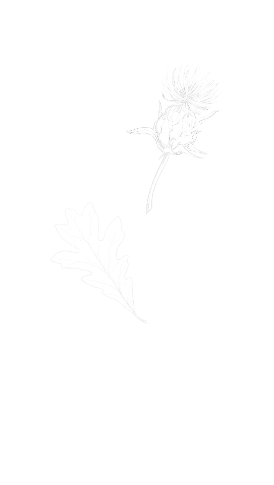 quiet strength psychotherapy pllc