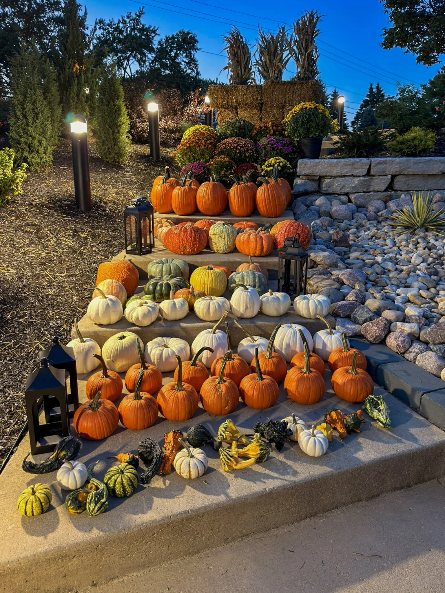 Estate scale fall display with tiered pumpkins and gourds, black lanterns and mums on a long stair run