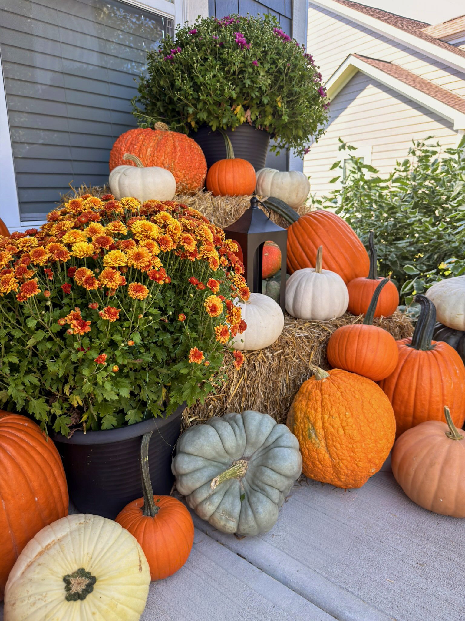 Orange and gold mums beside blue green and orange heirloom pumpkins on a hay bale