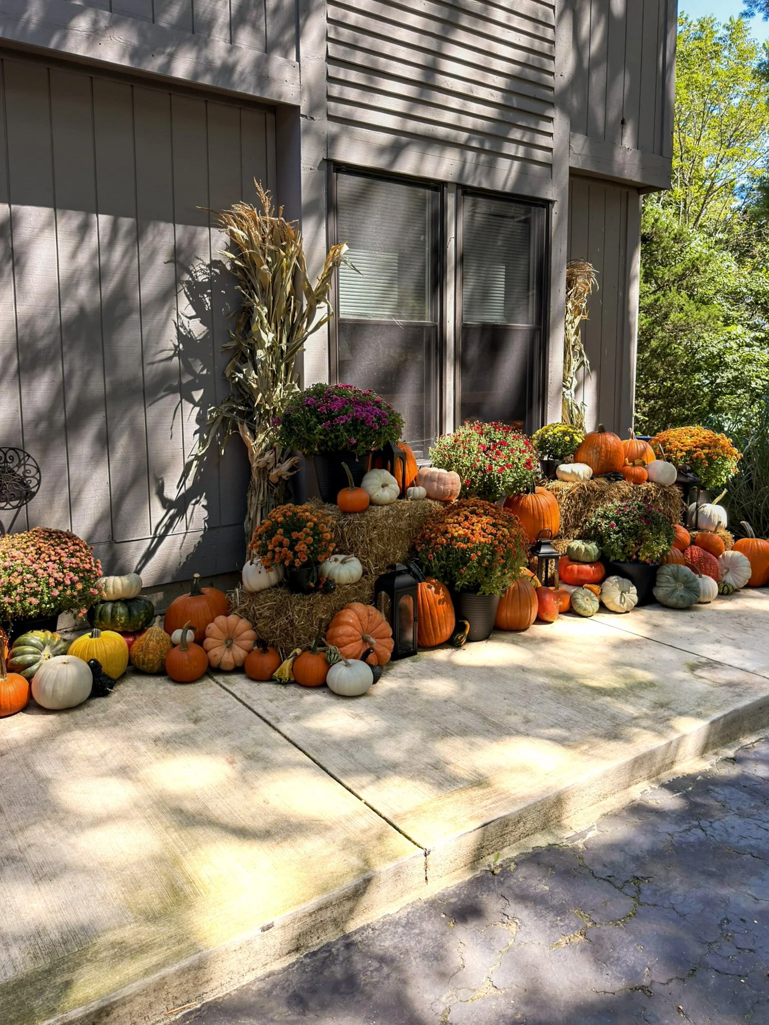 Premier Fall Collection