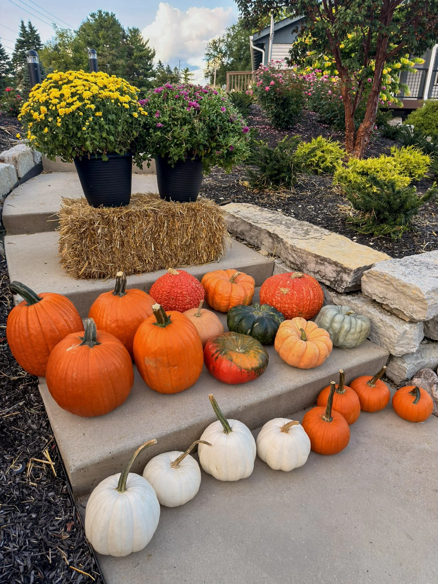 Orange, white and heirloom pumpkins lined along front steps with yellow mums and a hay bale above