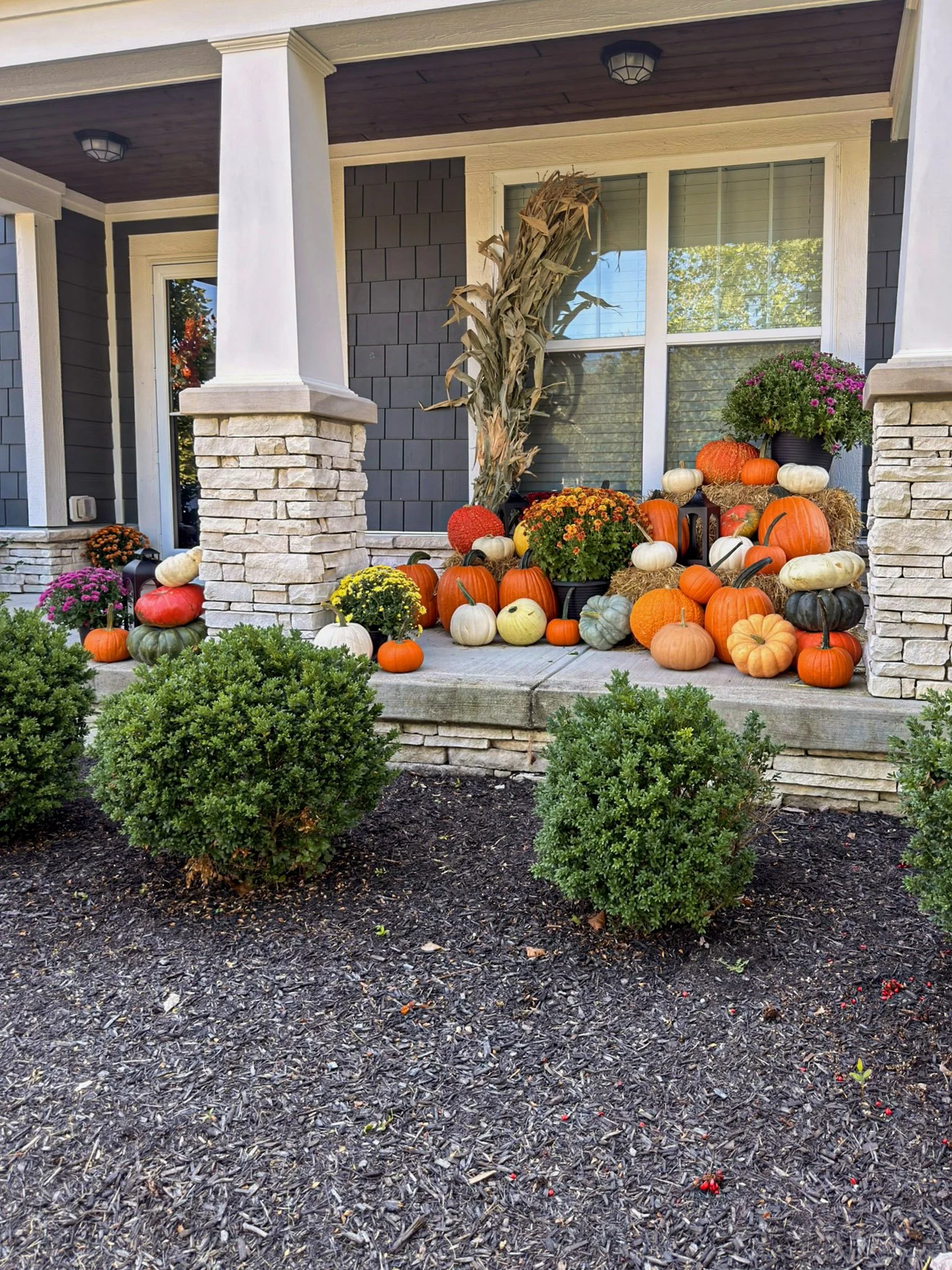 Corn stalks on a stone porch column with mums and a full spread of pumpkins along the porch base