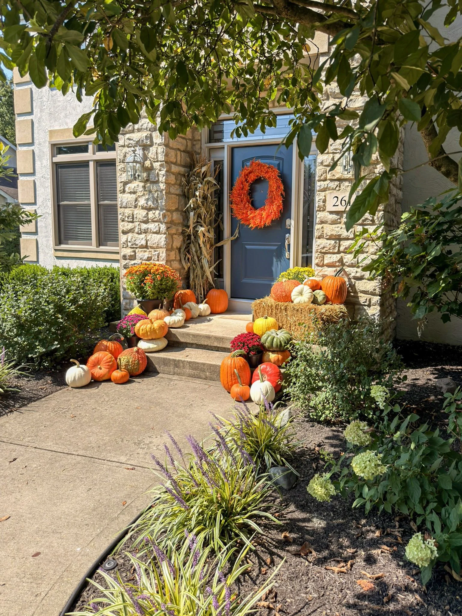 Blue front door with an orange wreath and pumpkins lining the walkway and front steps of a stone home