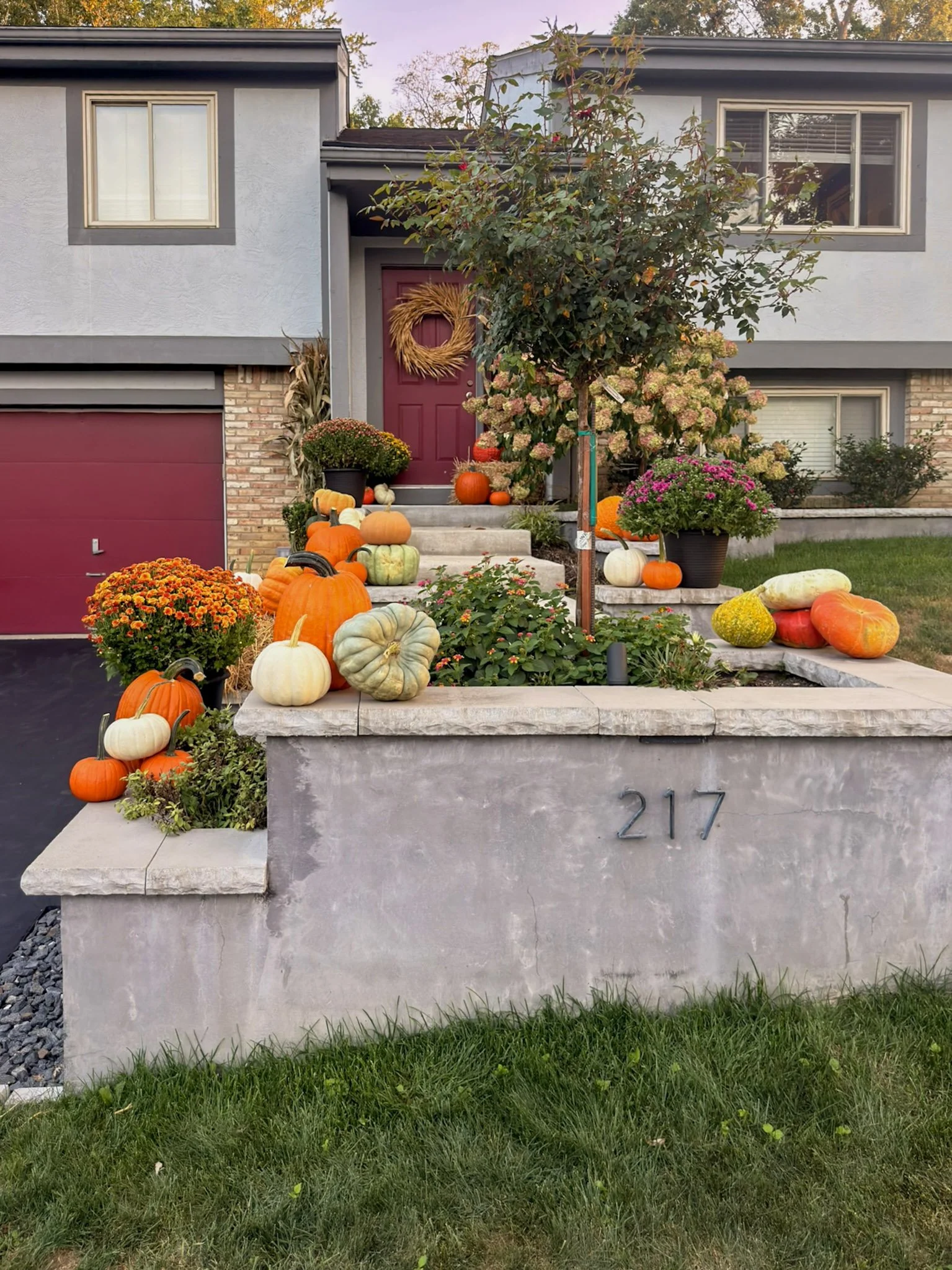 Mums and orange, white and heirloom pumpkins arranged along a concrete porch wall beside a red door