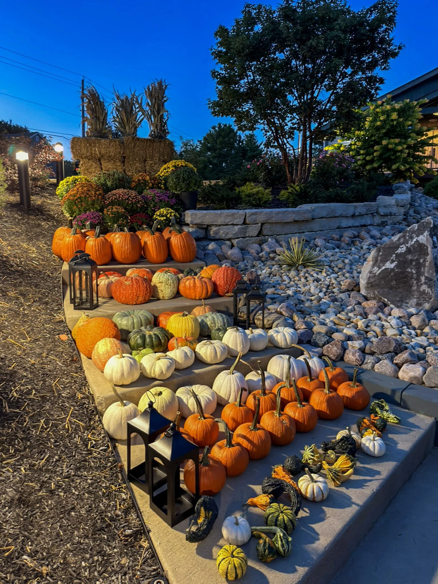 Black lanterns and rows of pumpkins and gourds stepping down a wide stone staircase