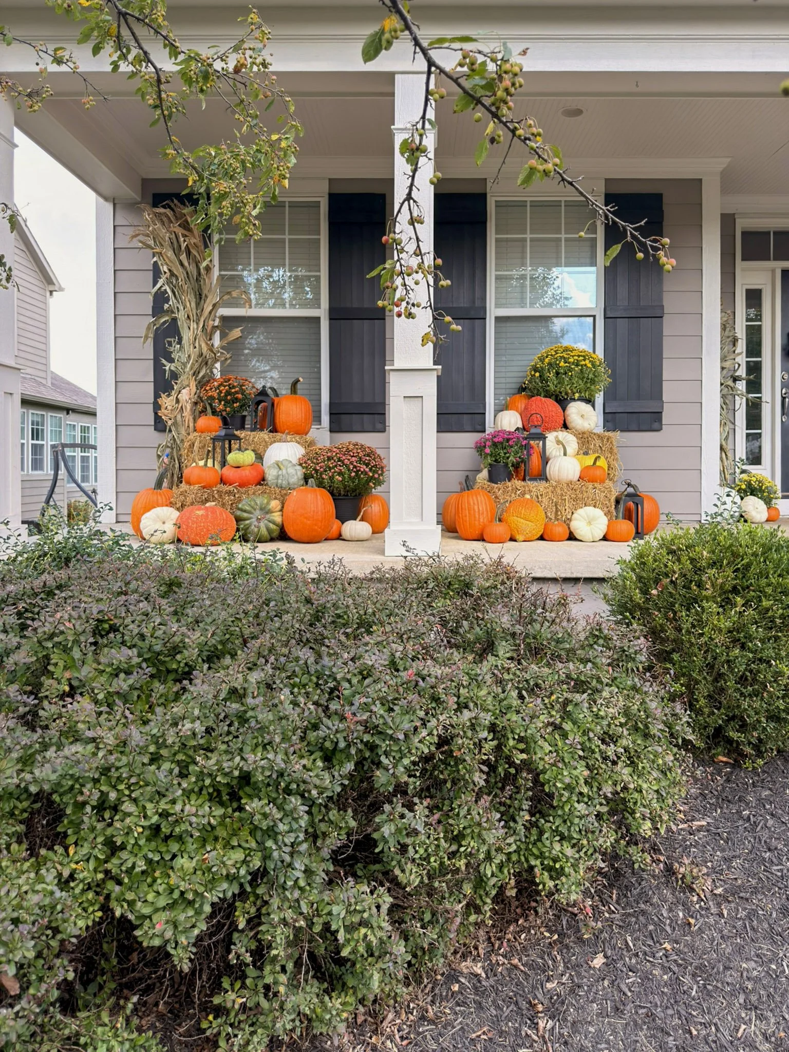 White porch columns and black shutters with mums and pumpkins arranged on the porch ledge and steps
