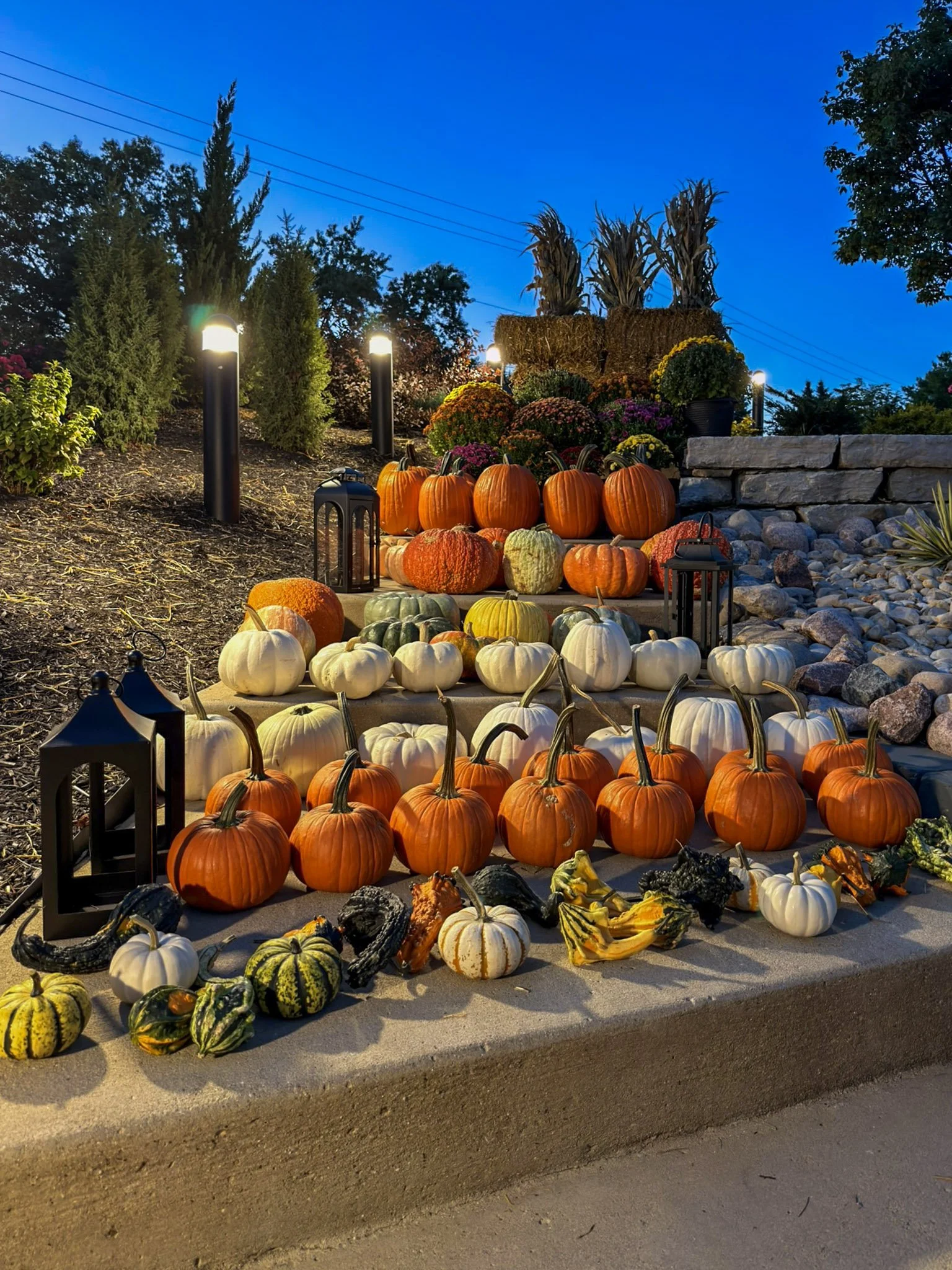Tiered rows of orange, white and green pumpkins with lanterns on stone steps under a blue evening sky
