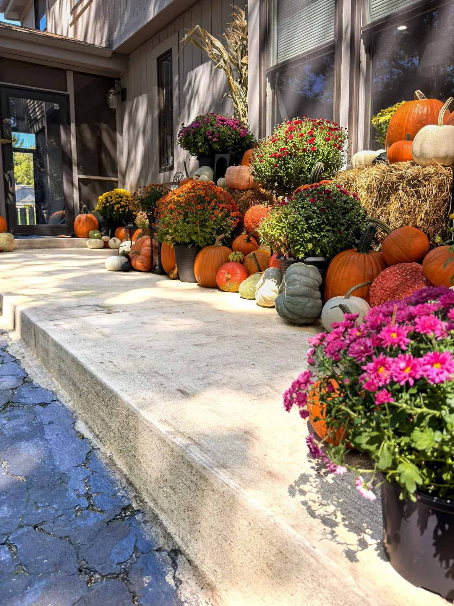 Magenta and orange mums with hay bales and pumpkins running the length of a wide concrete step