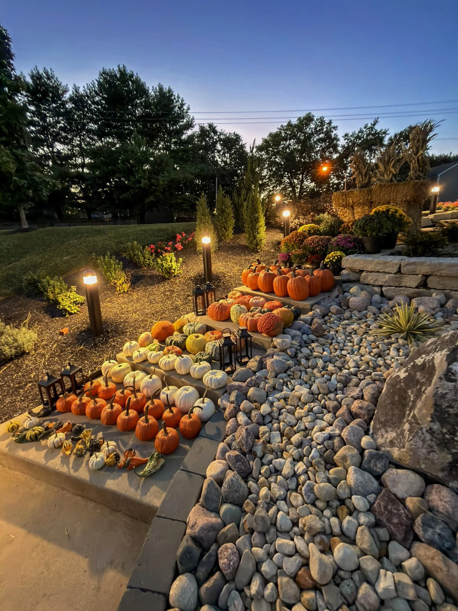Long stair run of pumpkins and gourds at dusk with landscape lighting and lanterns glowing