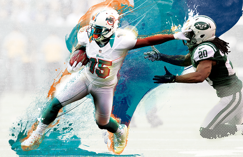 The Miami Dolphins