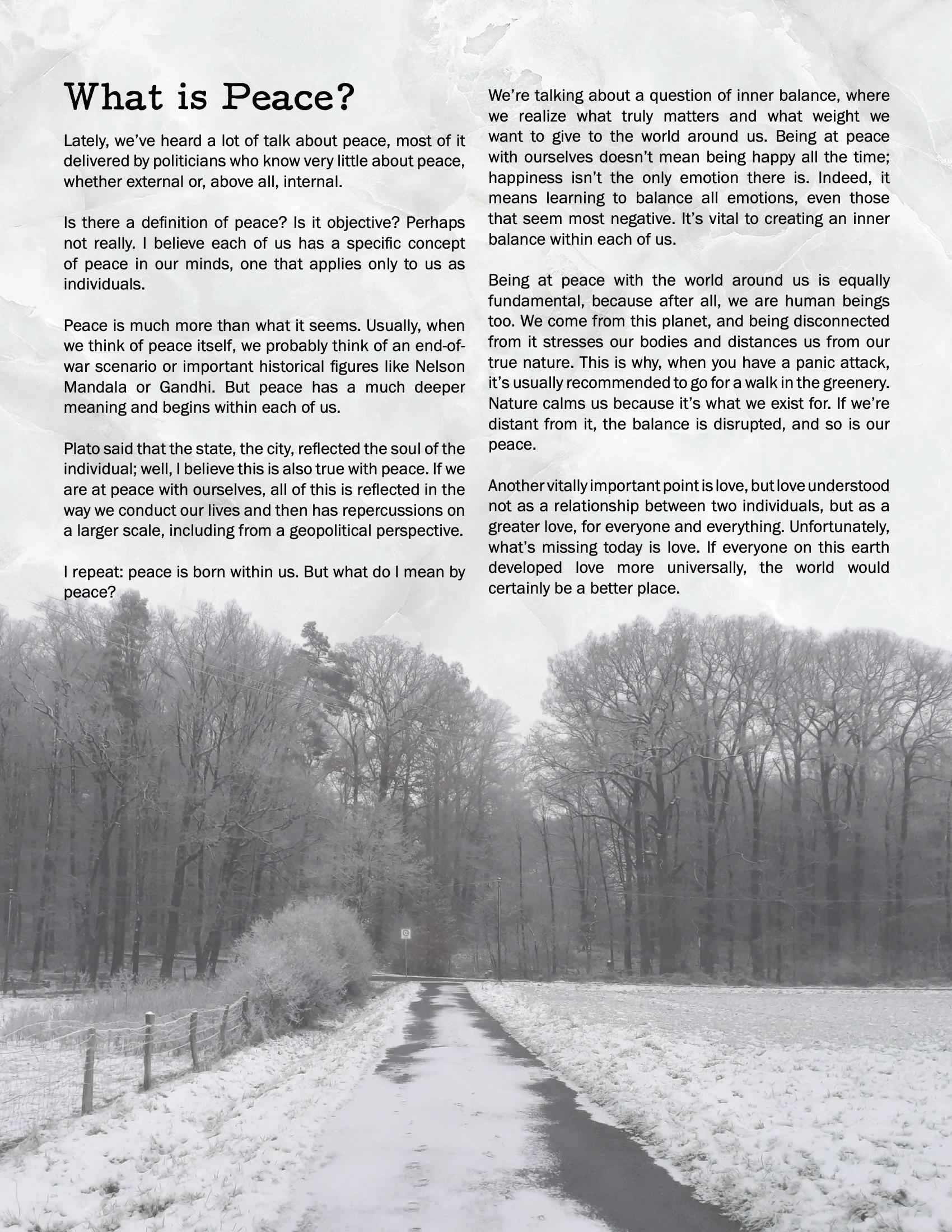 NOIL Layout Draft most updated 9.jpeg