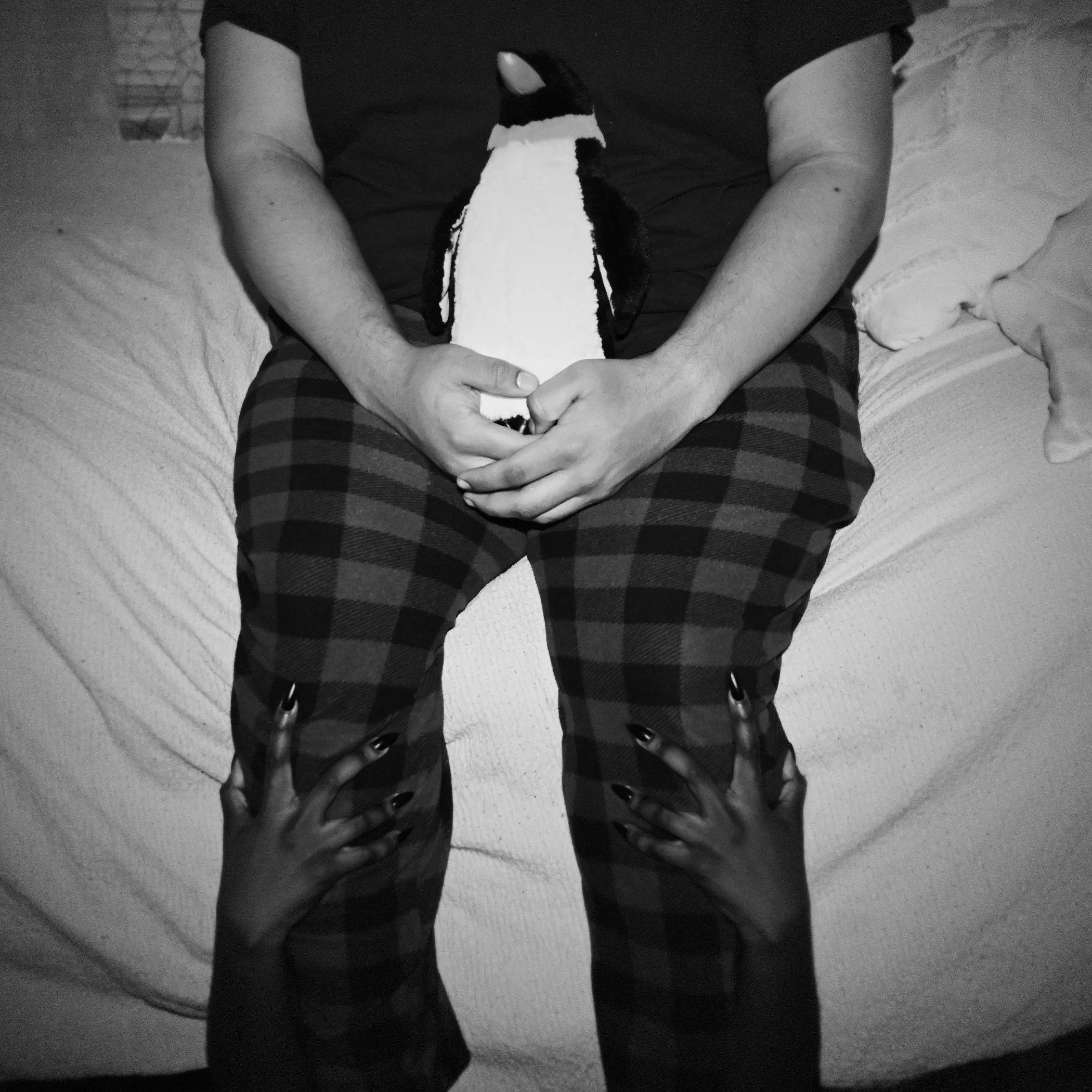 The Monsters Under My Bed