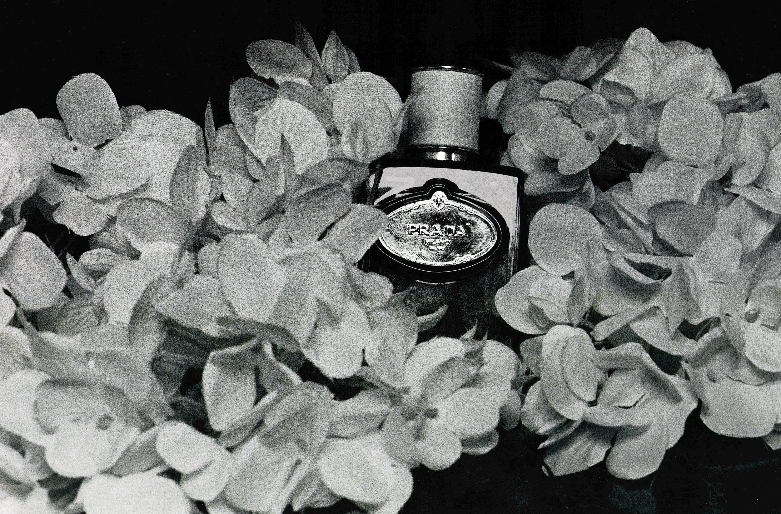 Archival 35mm Print (Prada Infusion d'iris )