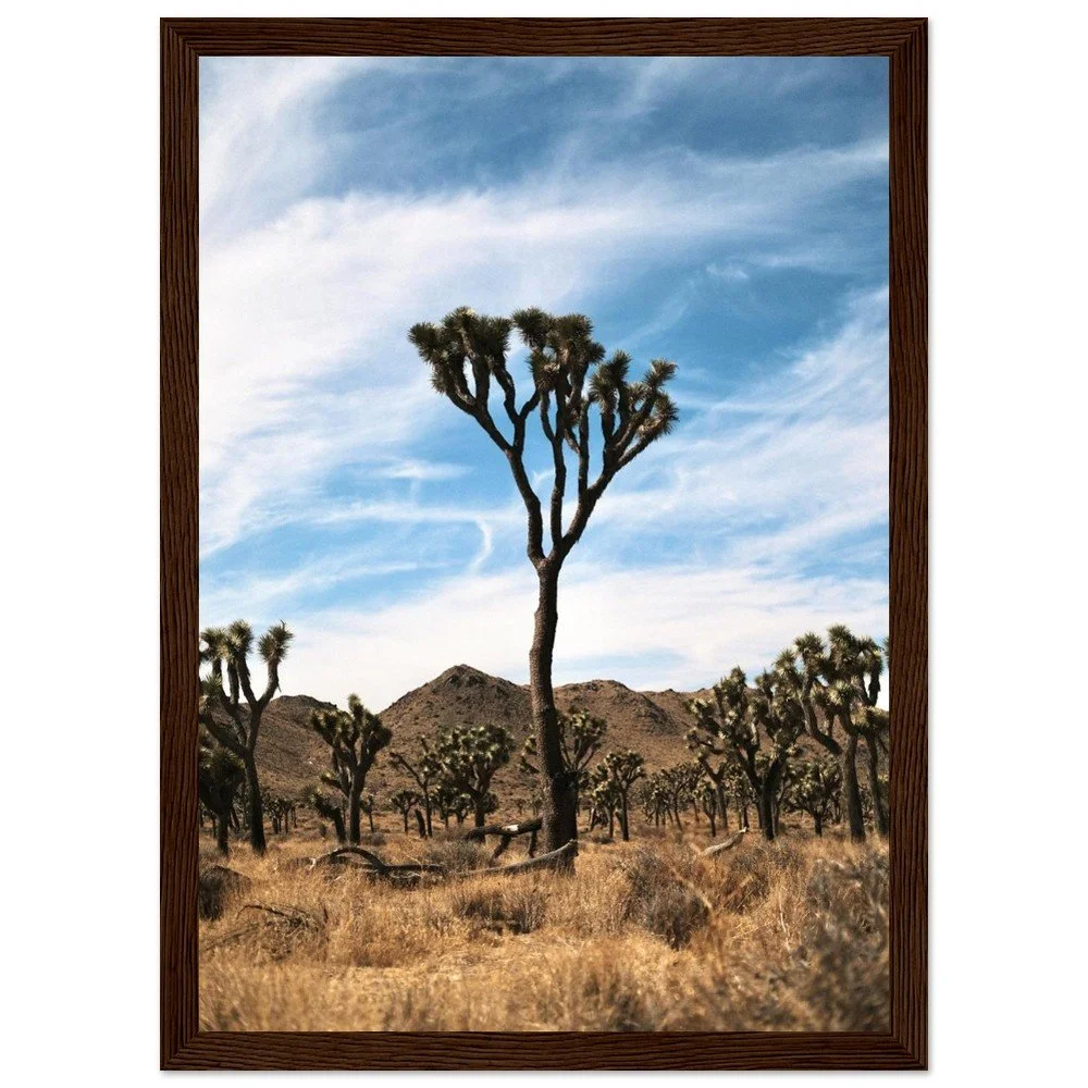 Framed Poster: Joshua Tree #1