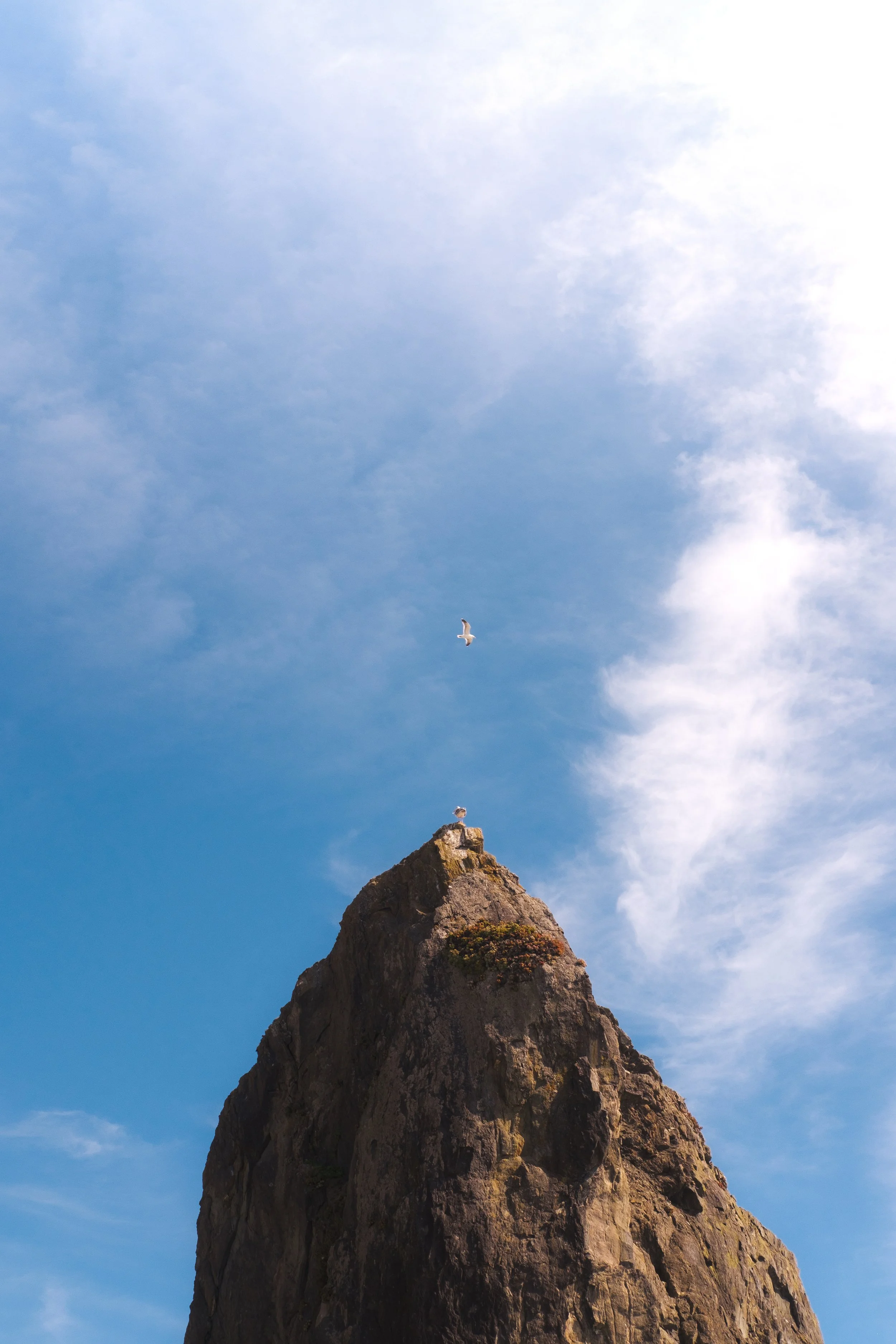 20250505-DSCF2688 (1).JPEG