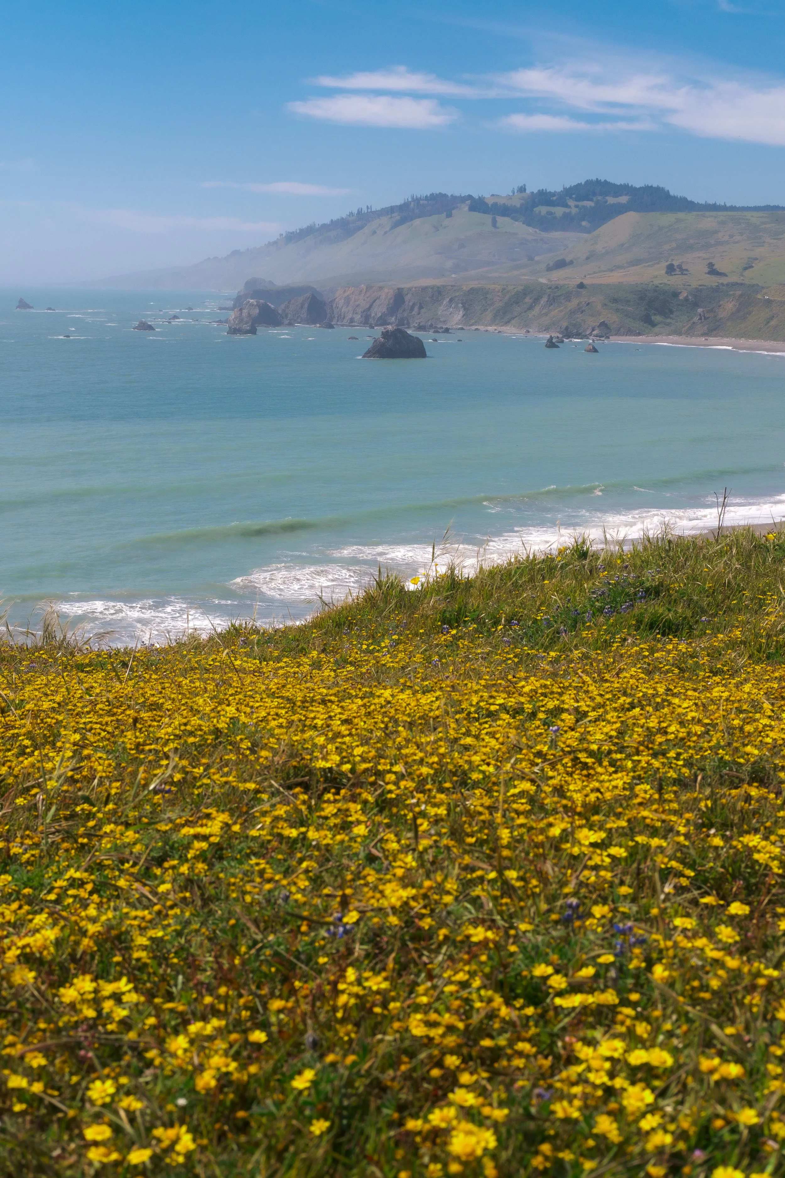 20250505-DSCF2622 (1).JPEG