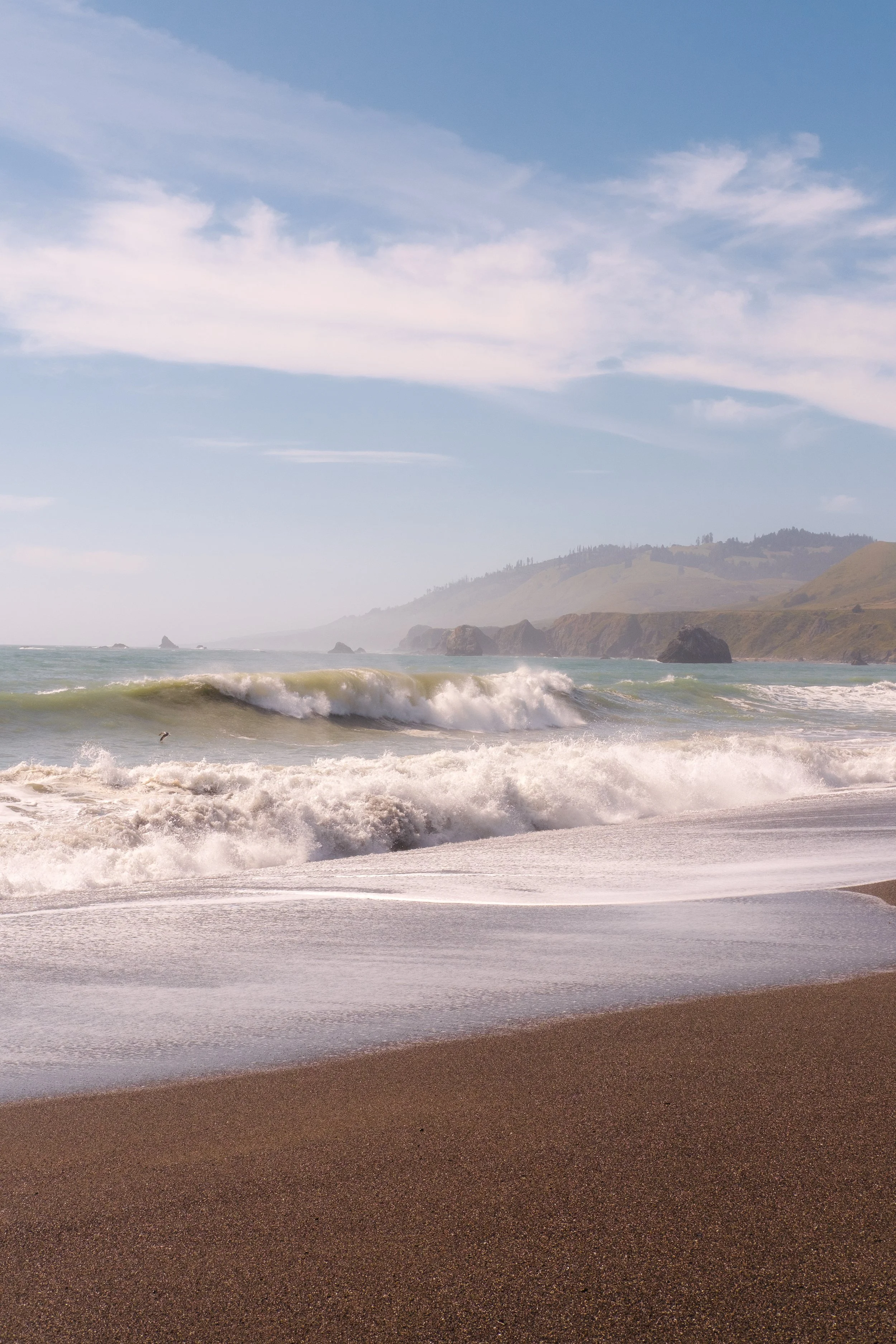 20250505-DSCF2681 (1).JPEG