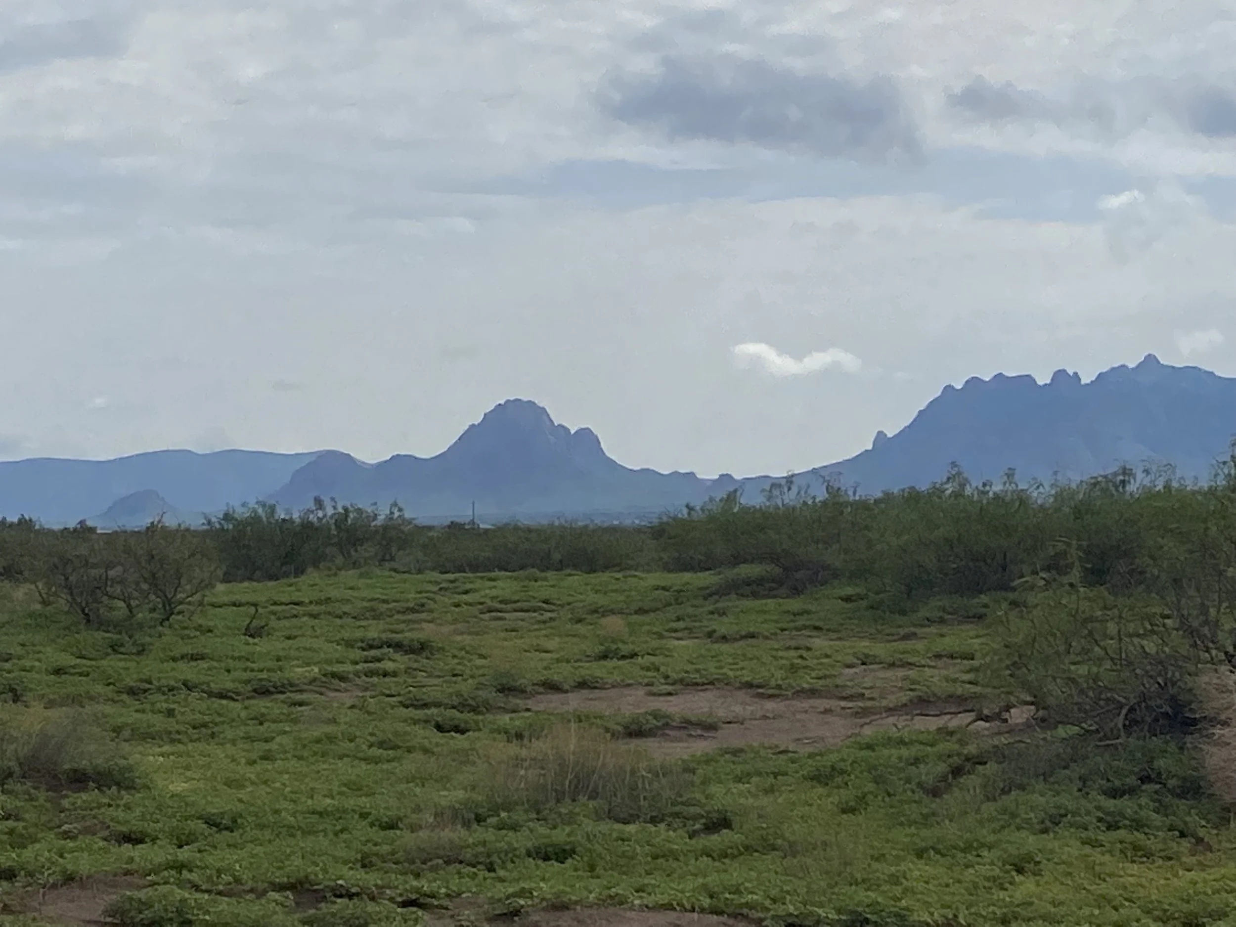 Floeida mountains our land picture.jpg