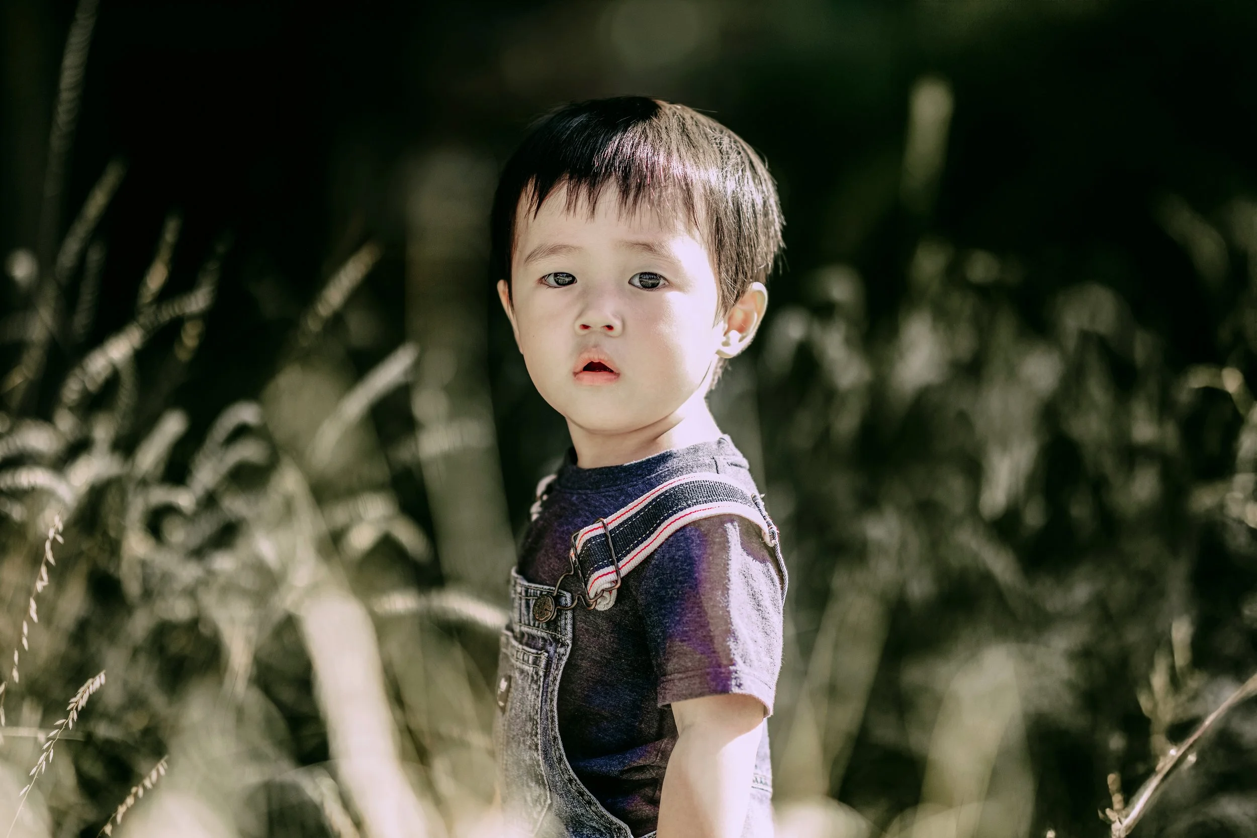 A young boy outdoors with a surprised or curious expression, standing in front of tall grass or plants, wearing a dark t-shirt and overalls.