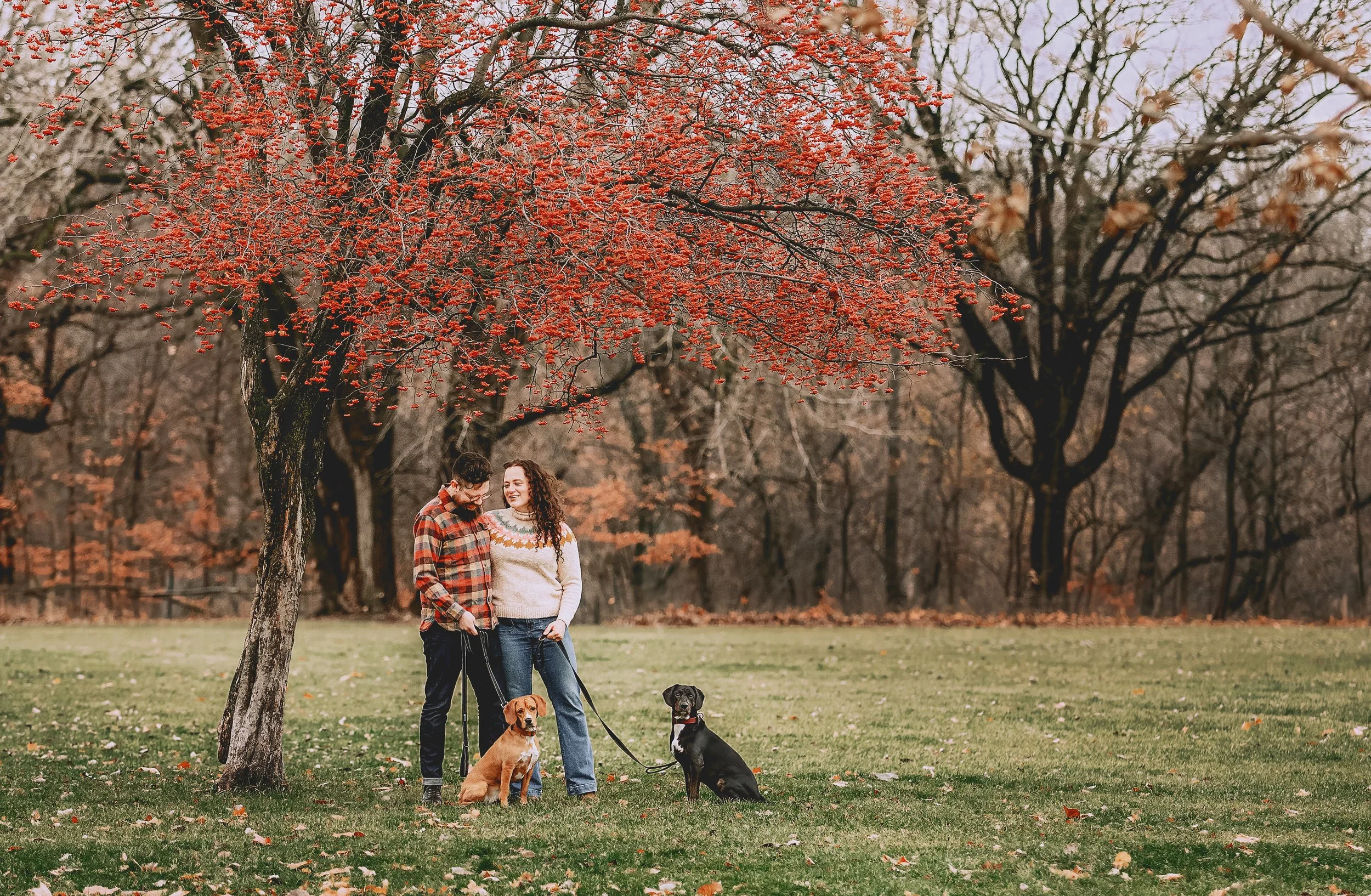 Two women with two dogs standing under a large tree with red leaves in a park during autumn.