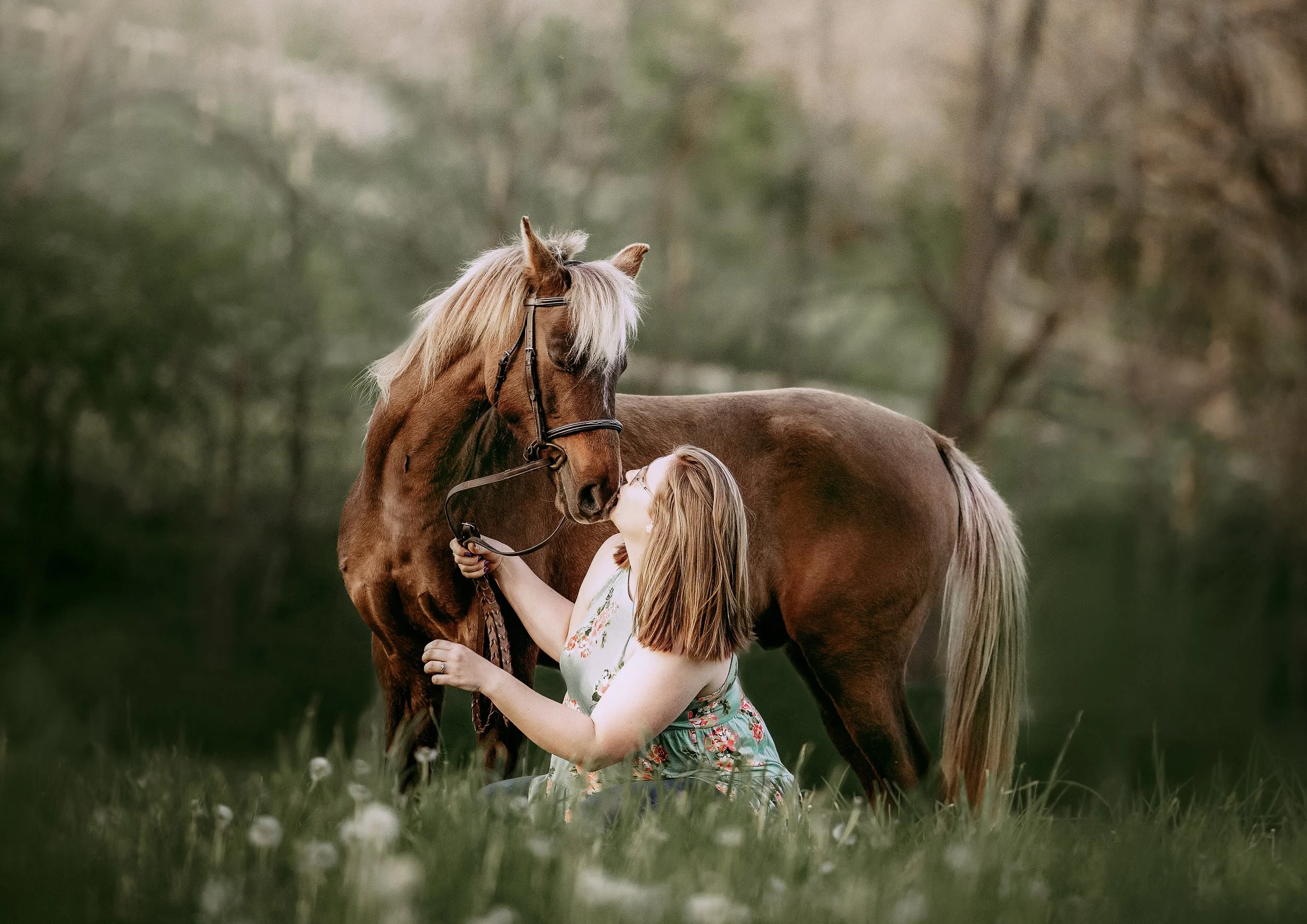 A woman kneeling on grass woman holding horse's bridle and kissing horse's nose in a natural outdoor setting with trees in the background.