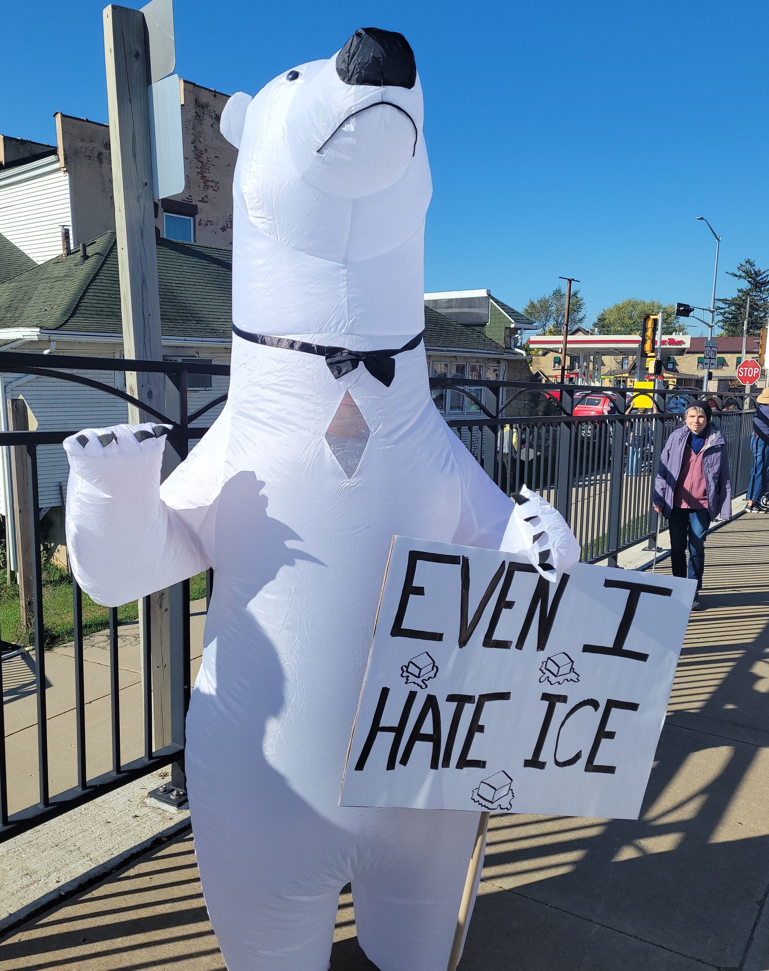 A person in an inflatable polar bear costume on the Sauk City bridge with a protest sign that reads even I hate ice