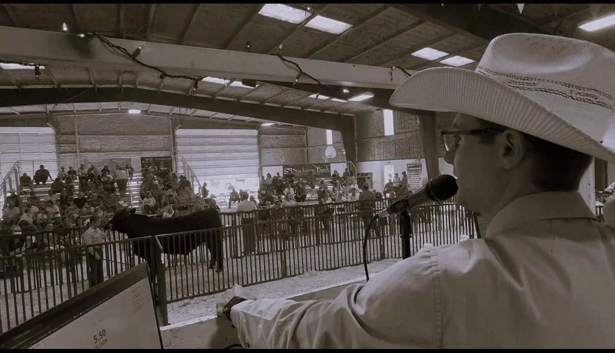 The Horse Auctioneer, Cole Morrison on the auction block