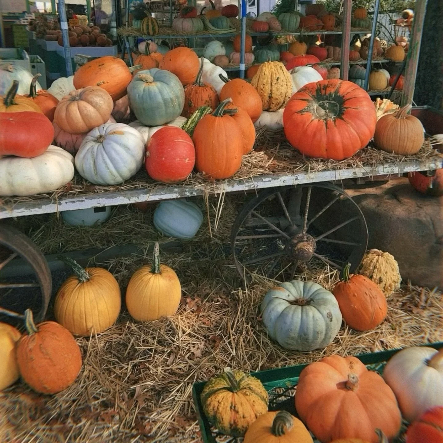 My day matched my candle scent🎃🧁😋🍂