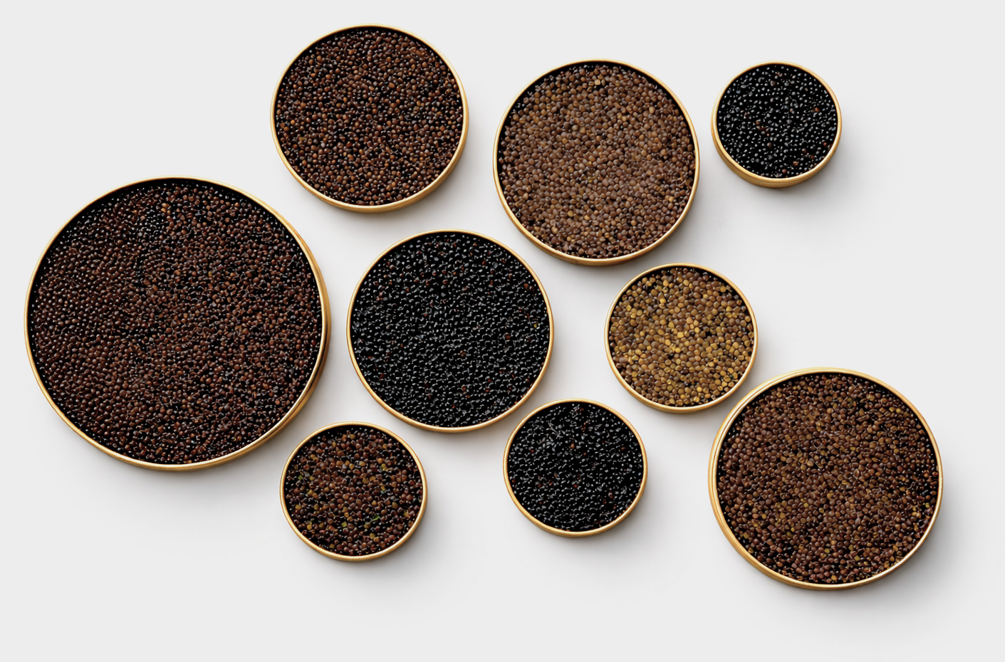Why Are There So Many Types of Caviar? A Guide to Species, Taste &amp; Quality