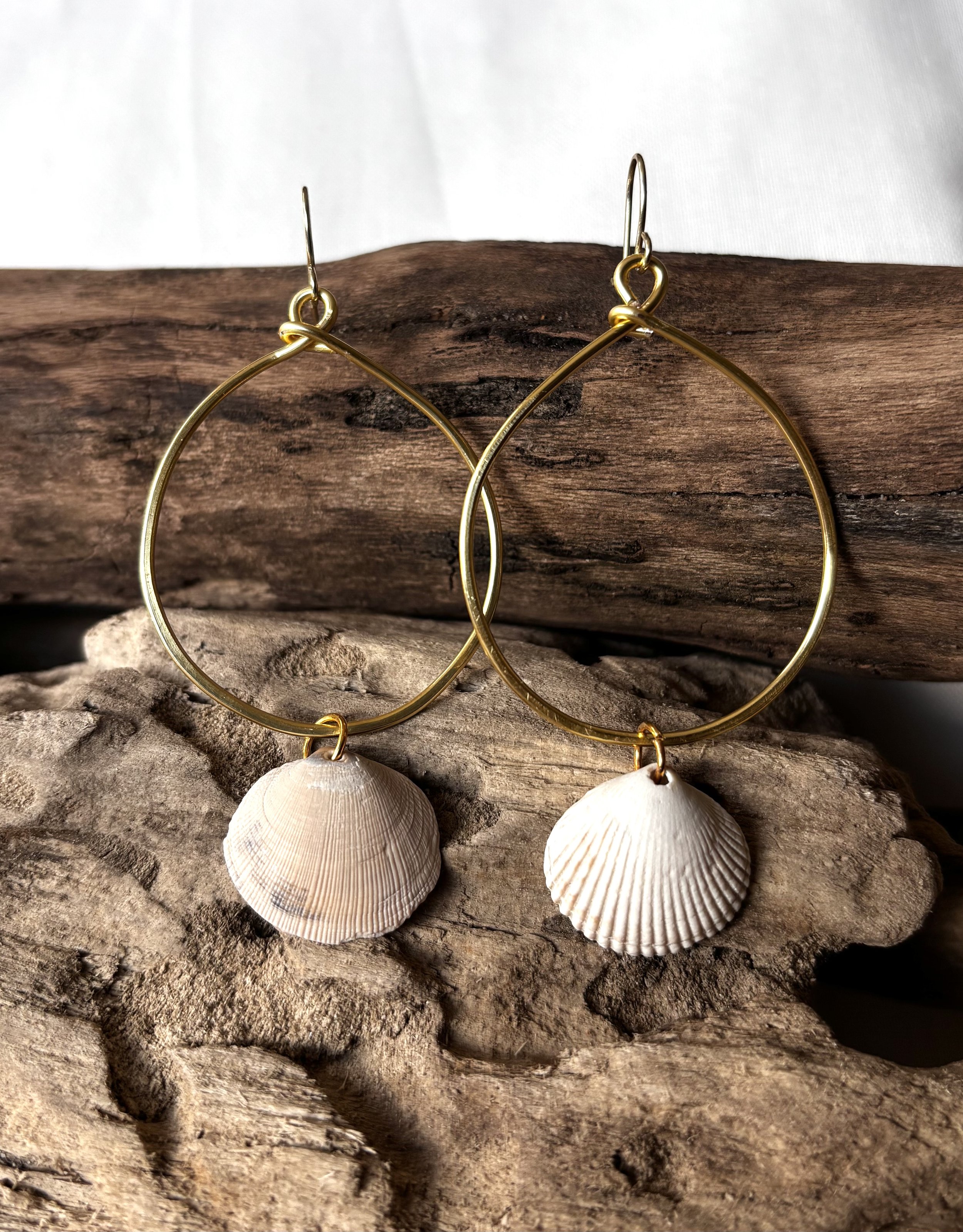 Clam Shell Hoops
